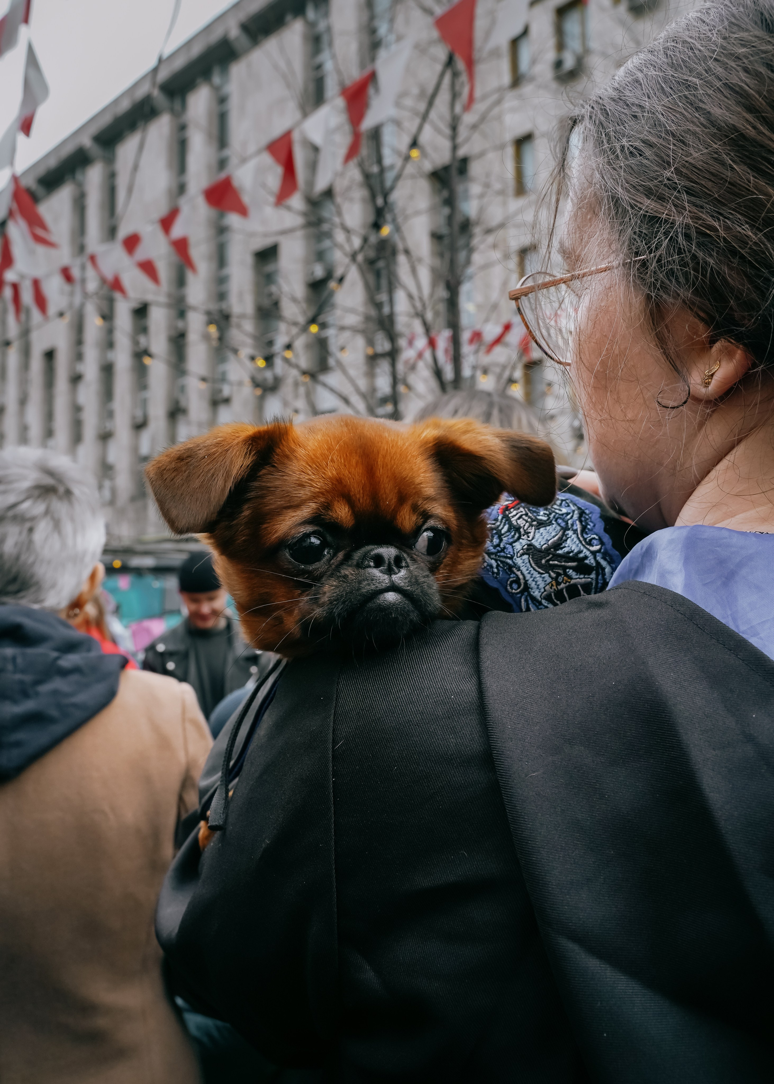 Тематическая встреча породников «Griffween». Фотограф-анималист Ксения Воробьева, Москва