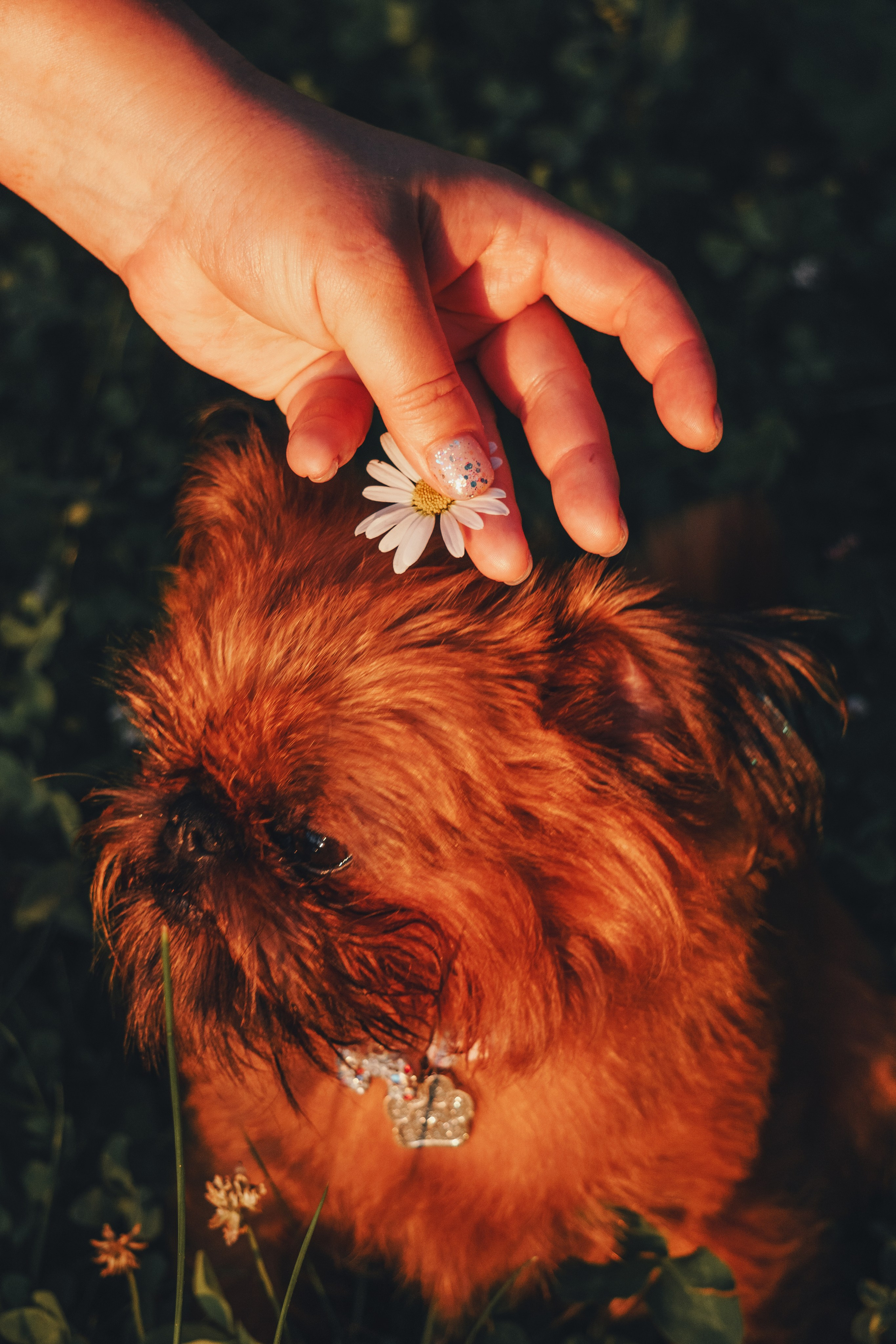 Катя и Яшма. Фотограф-анималист Ксения Воробьева, Москва