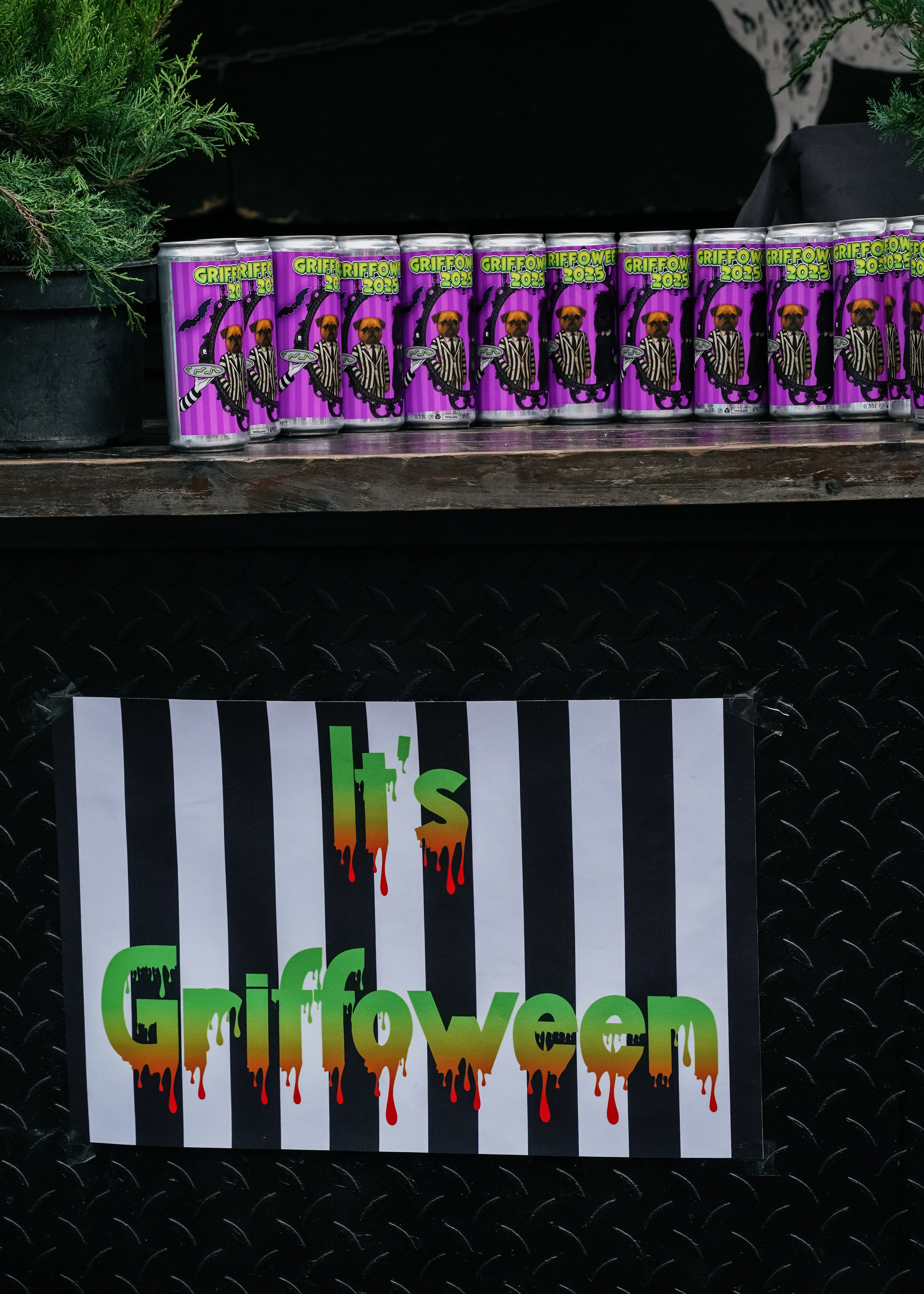 Тематическая встреча породников «Griffween». Фотограф-анималист Ксения Воробьева, Москва