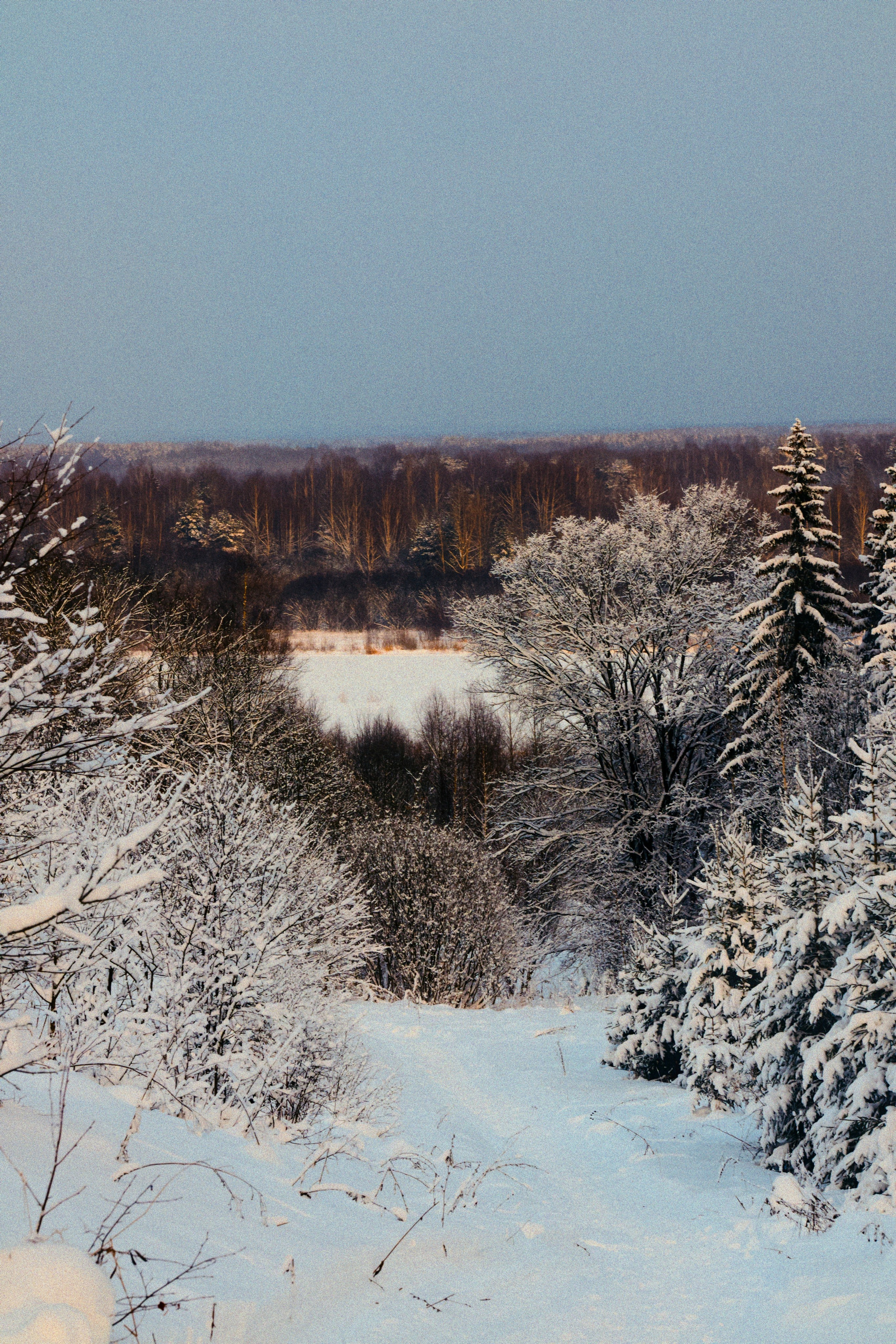 Пейзажи. Фотограф-любитель из Кирова Андрей Погребняк