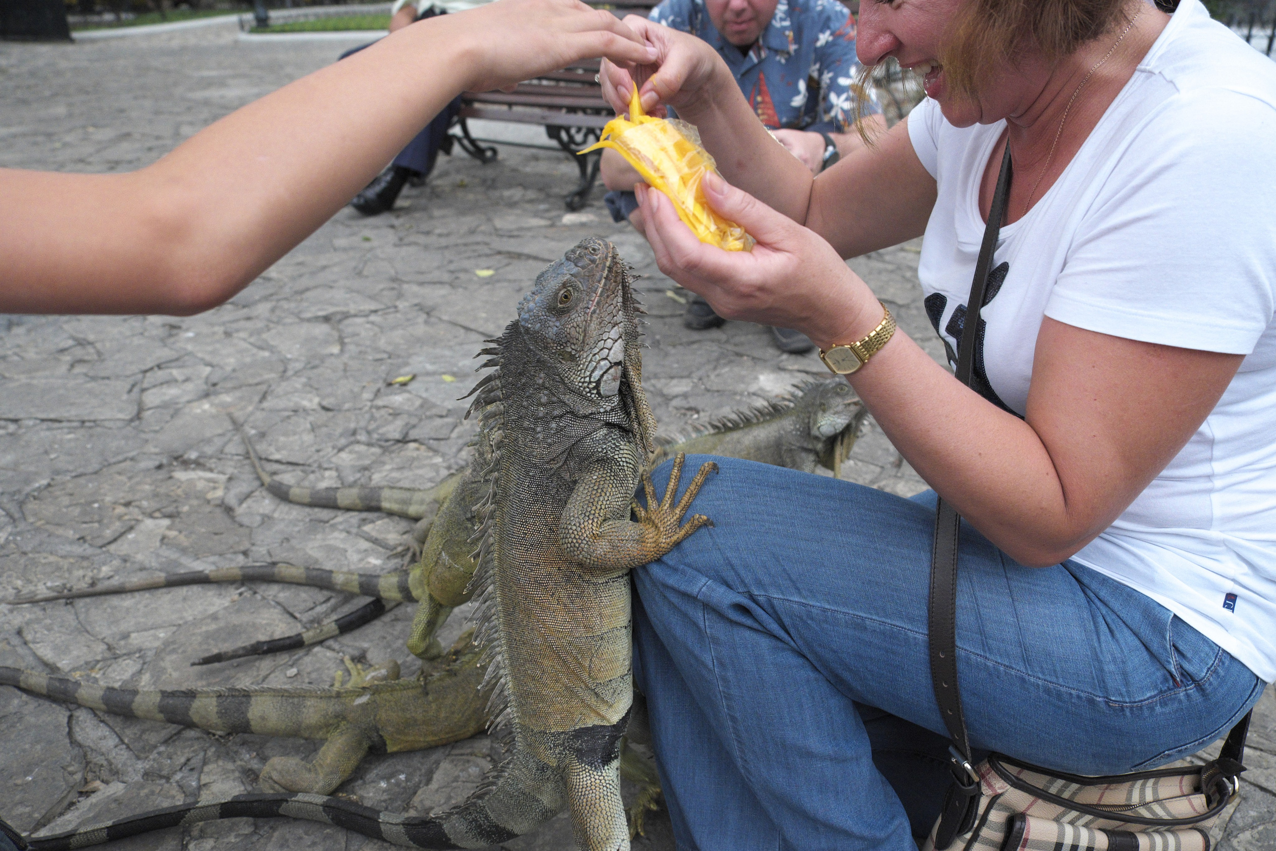 УЛИЦЫ. ПОБУДЬ ЗДЕСЬ И ЦЕЛЕЕ БУДЕТ ЭТОТ МИР