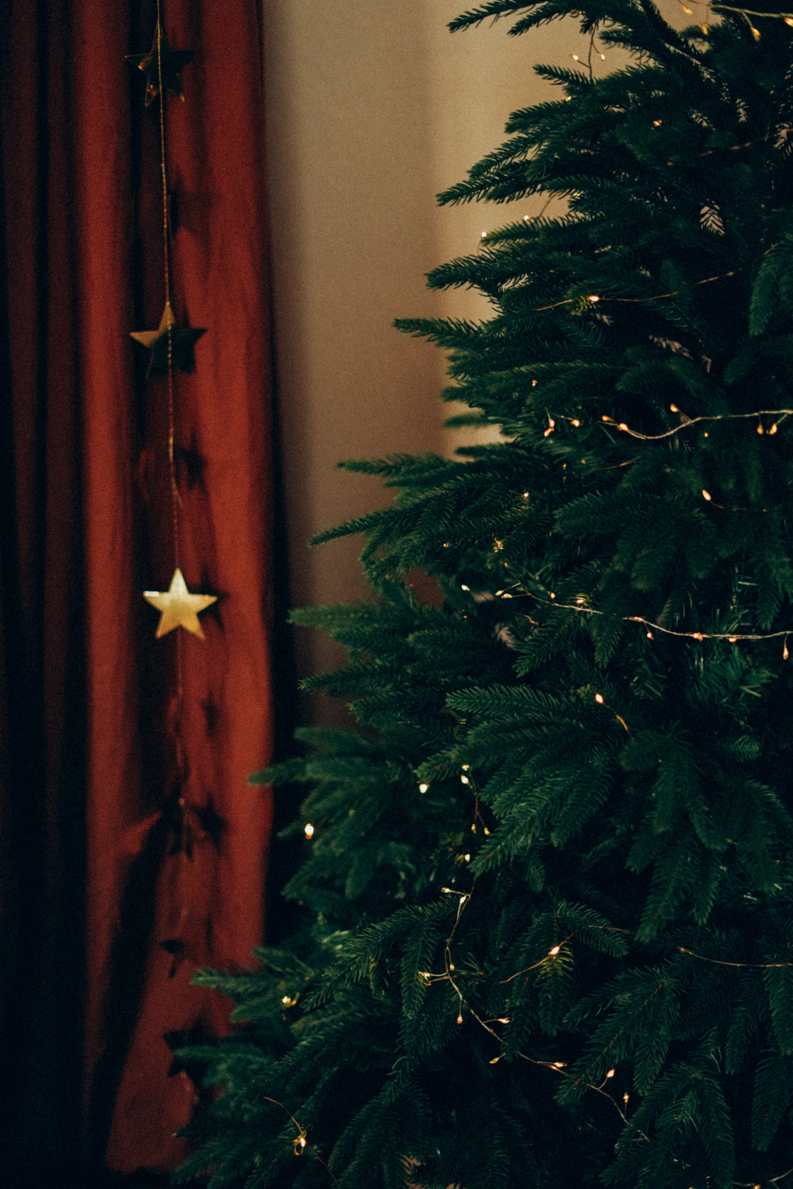 Зал 3. Фотограф Батуми | Ксения Кинасова