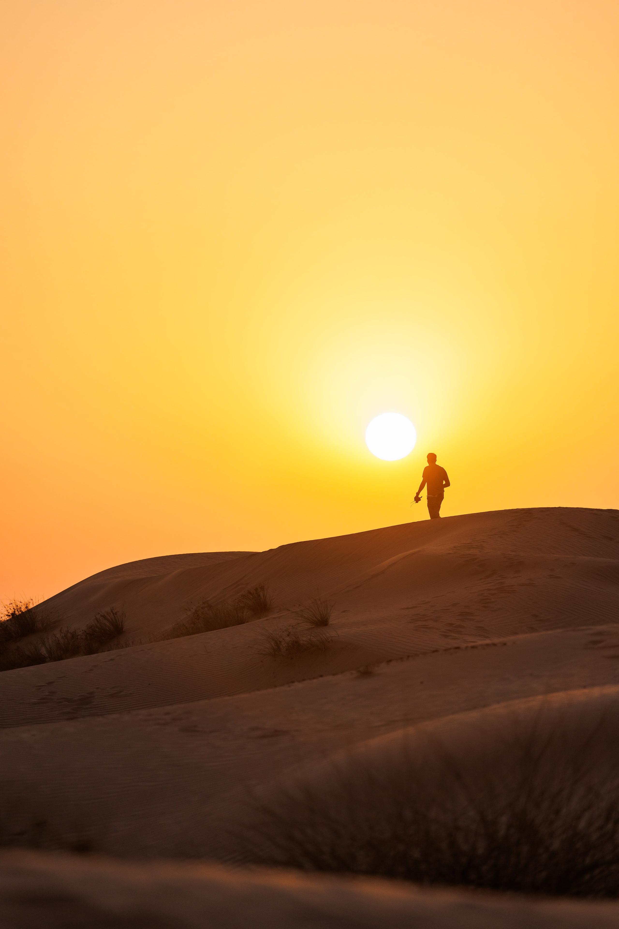 Dezert. Photographer in Saint-Petersburg and Moscow Max Spector