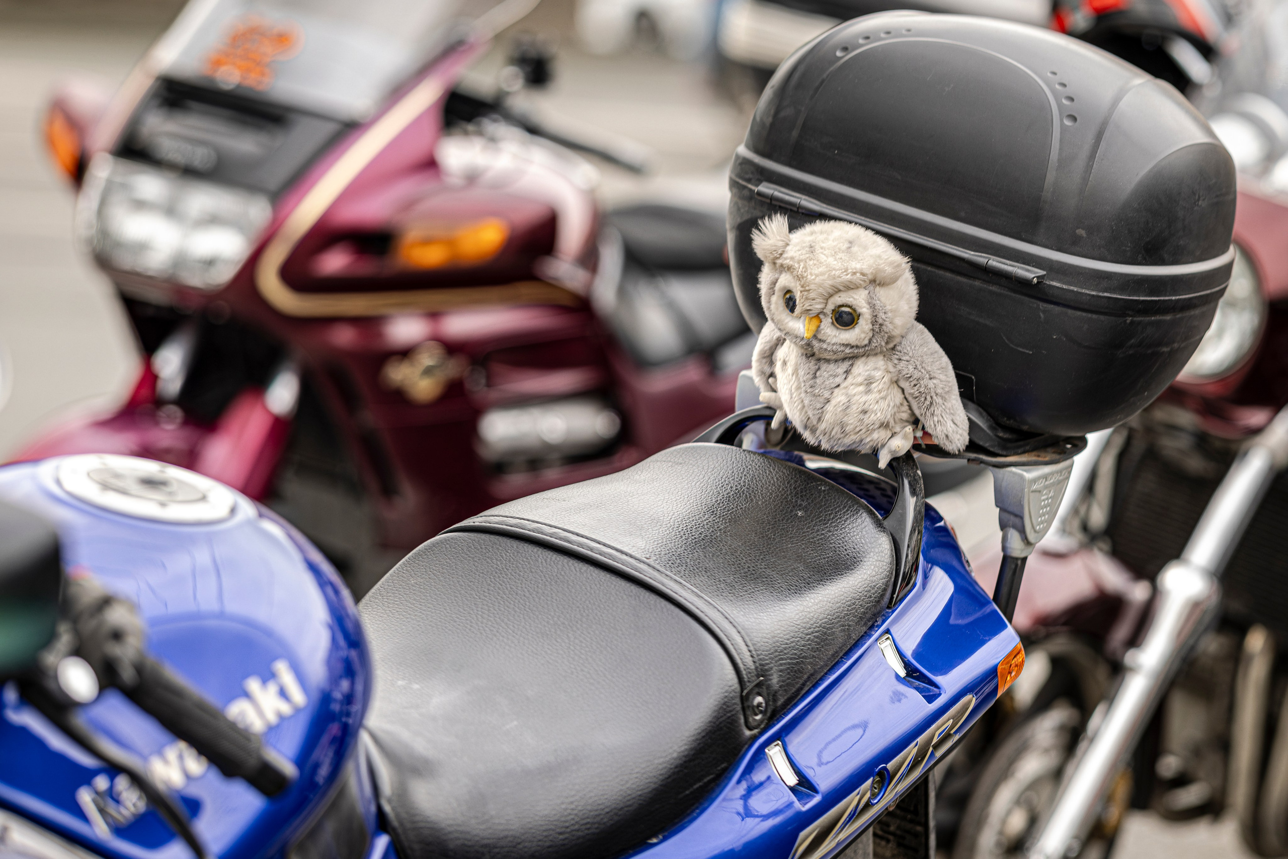 Открытие мотосезона 2025. Bertran Ordo