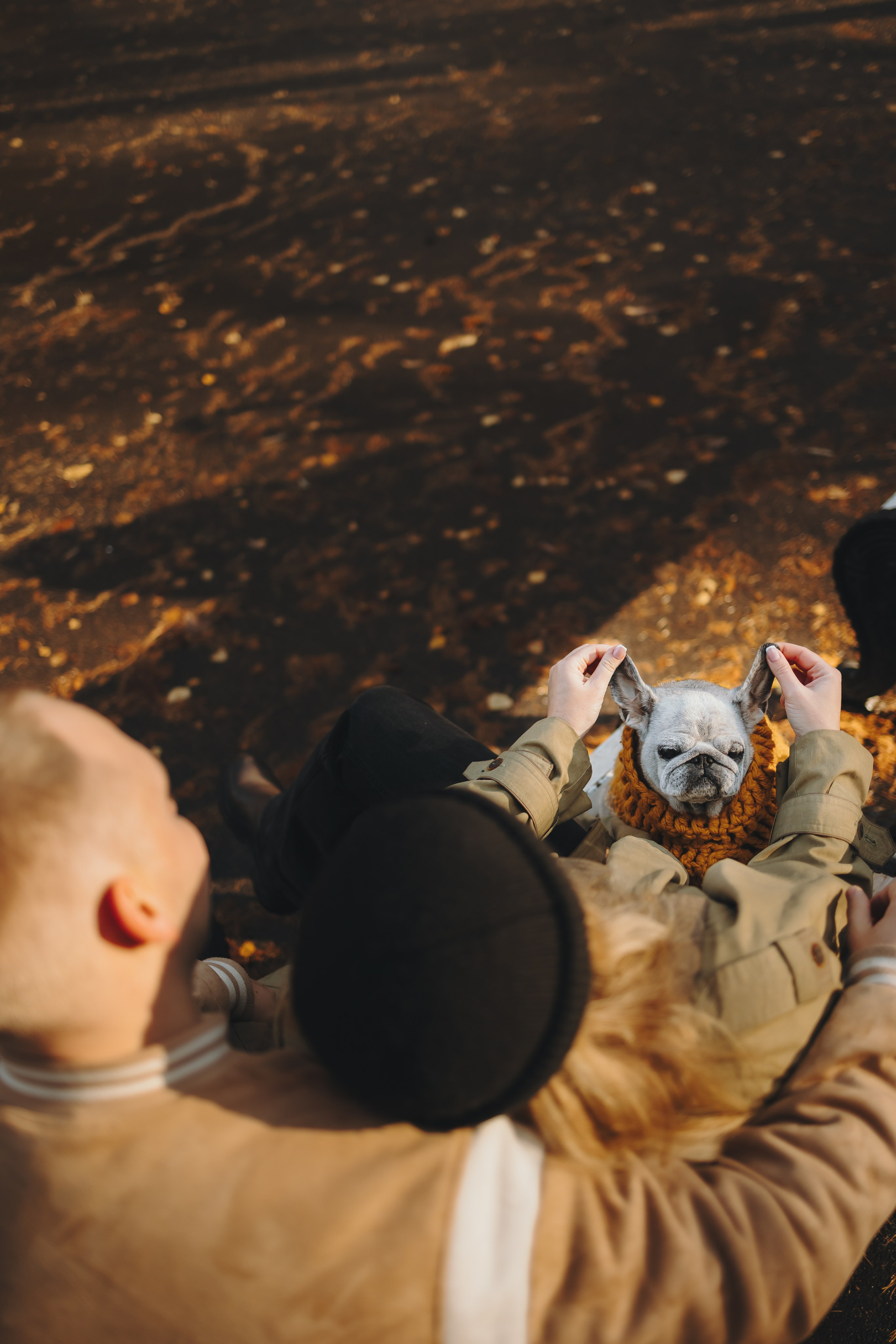 Габи и ребята. Фотограф-анималист в Санкт-Петербурге Алина Яхонт