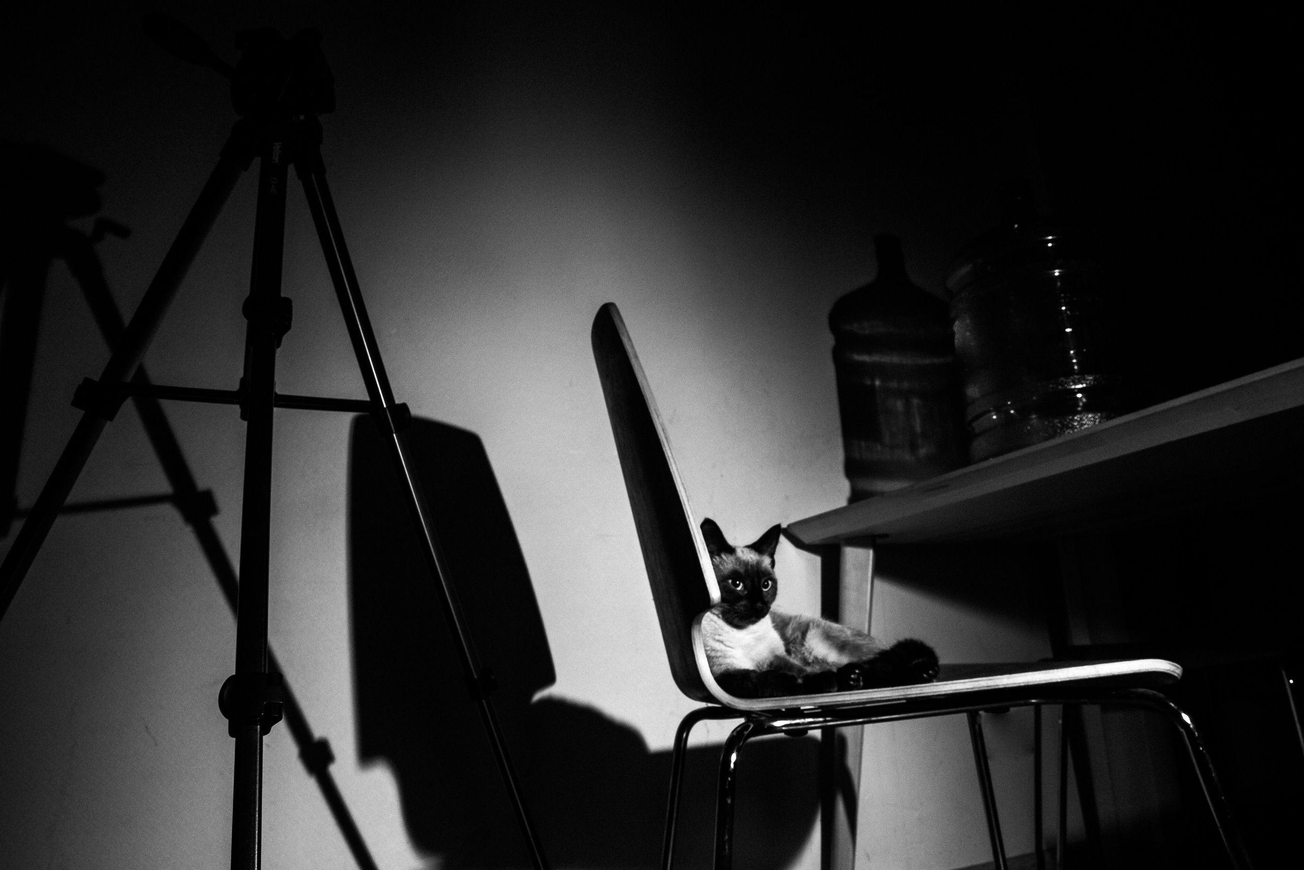 Фотограф Валя Шумилова