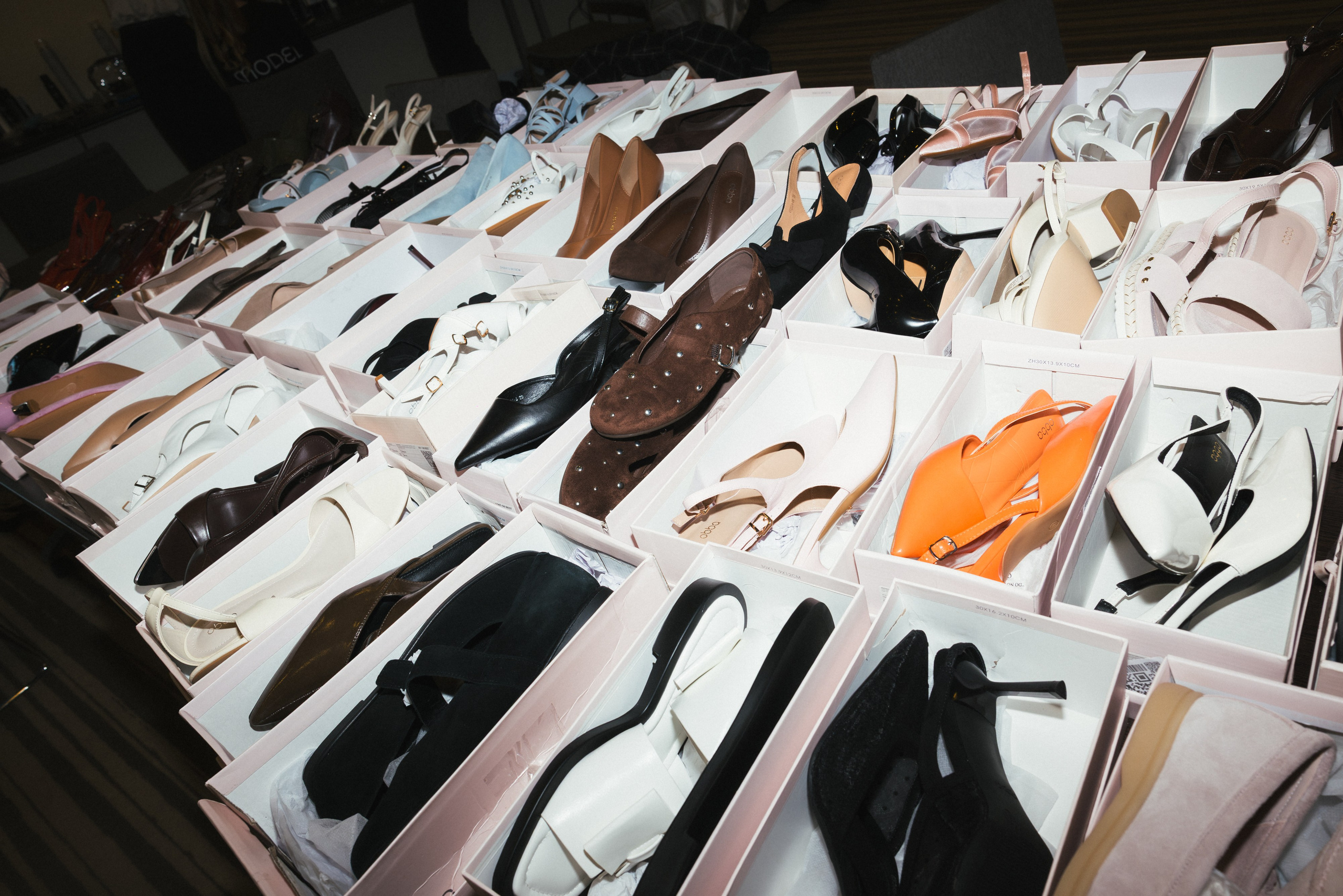 Catwalk. ProVizArt