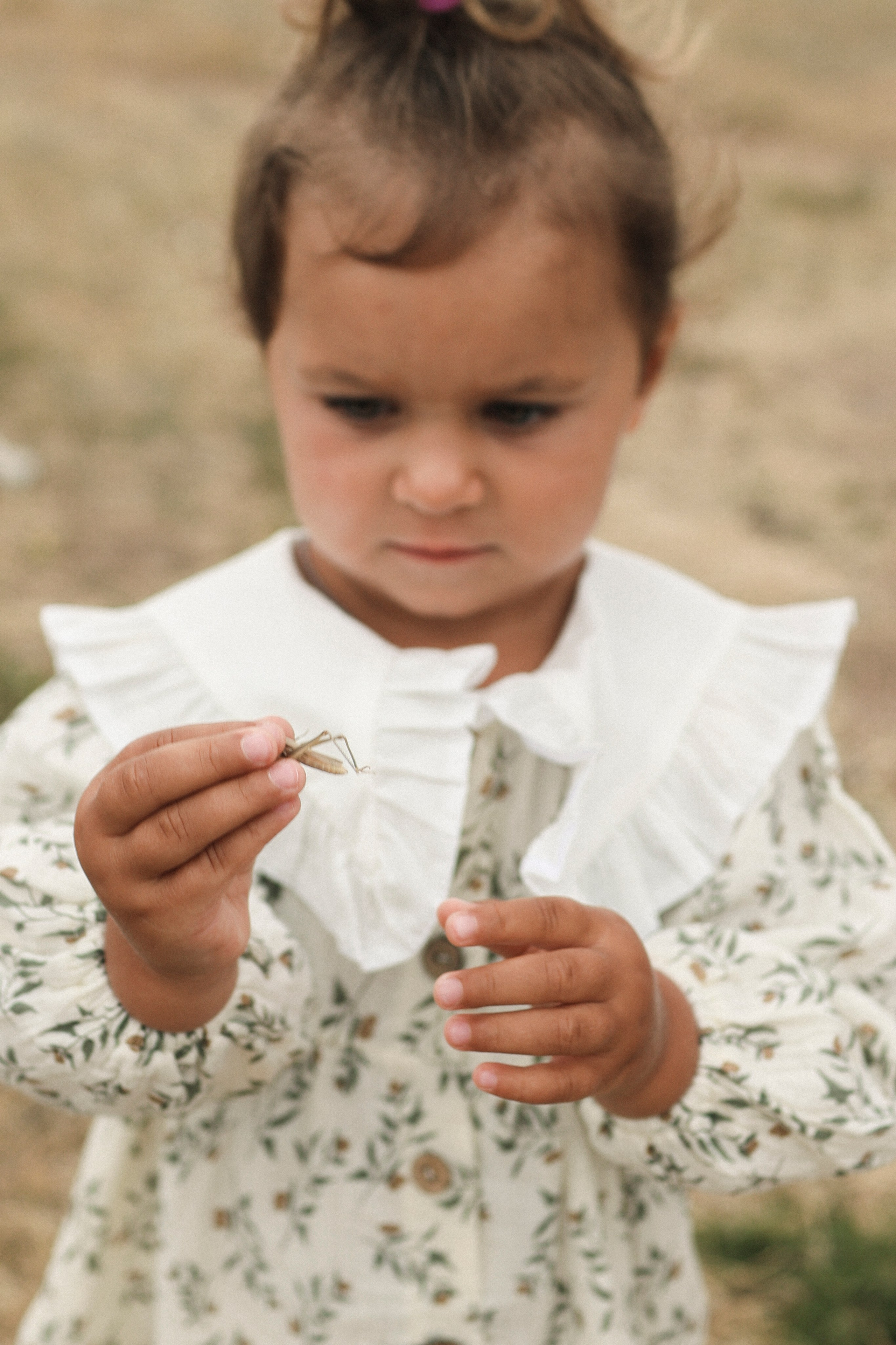 Пойдем, словлю тебе кузнечика. Свадебный и портретный фотограф. Видеограф на Свадьбу. Севастополь, Ялта, Симферополь, Крым