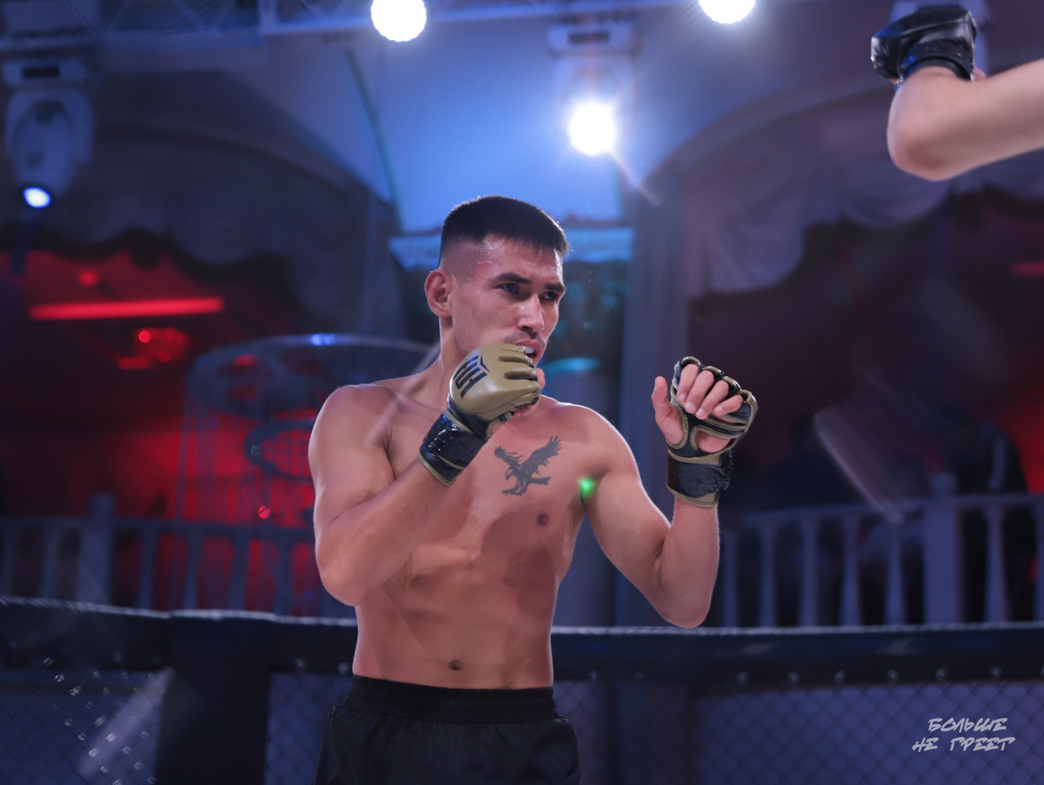 SABR FIGHTING. Больше не греет