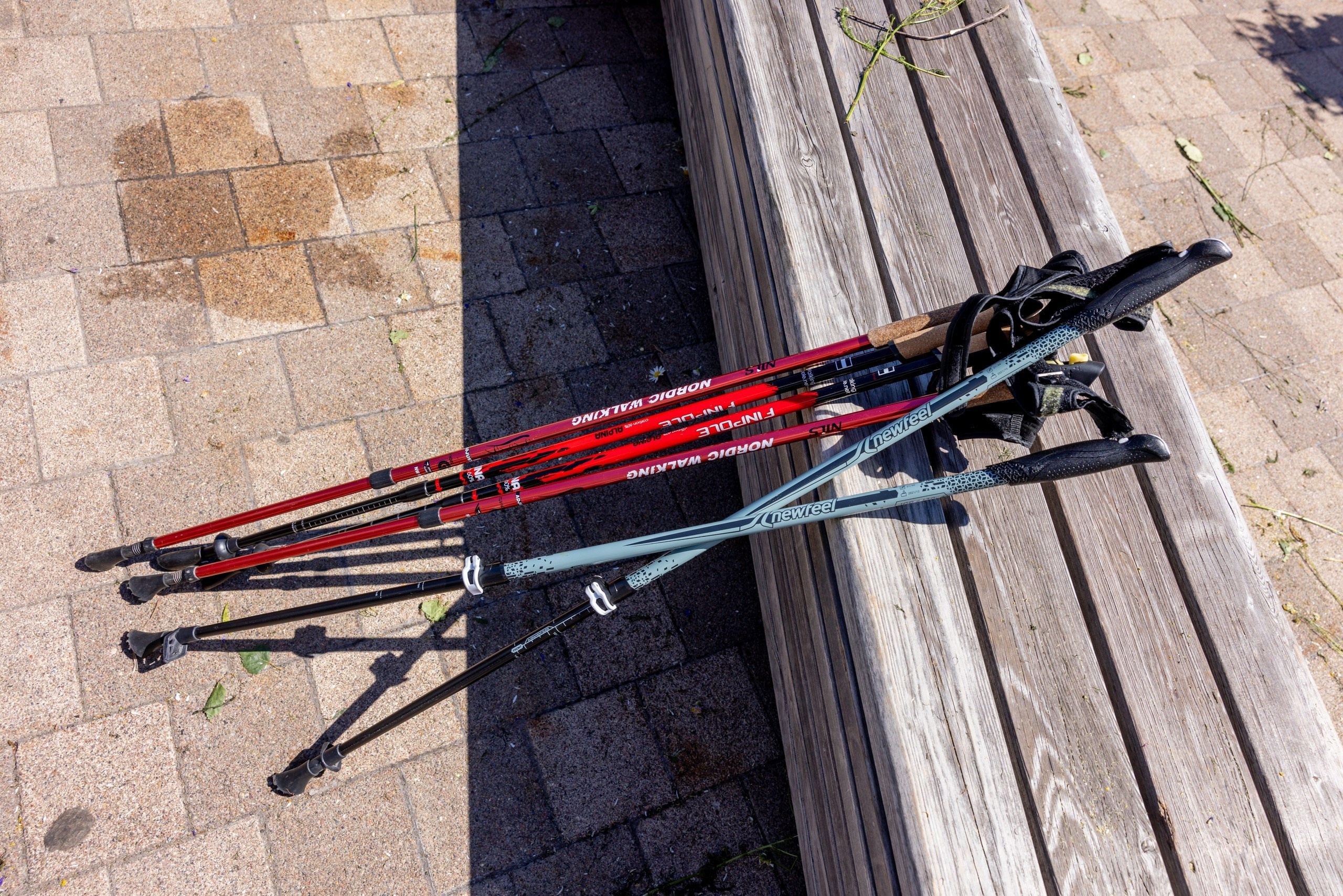 Фестиваль «Ромашковый хоровод». Северная ходьба. Фотограф в Туле Крупский АнДРей. Фотостудия «КАДР71» в Туле