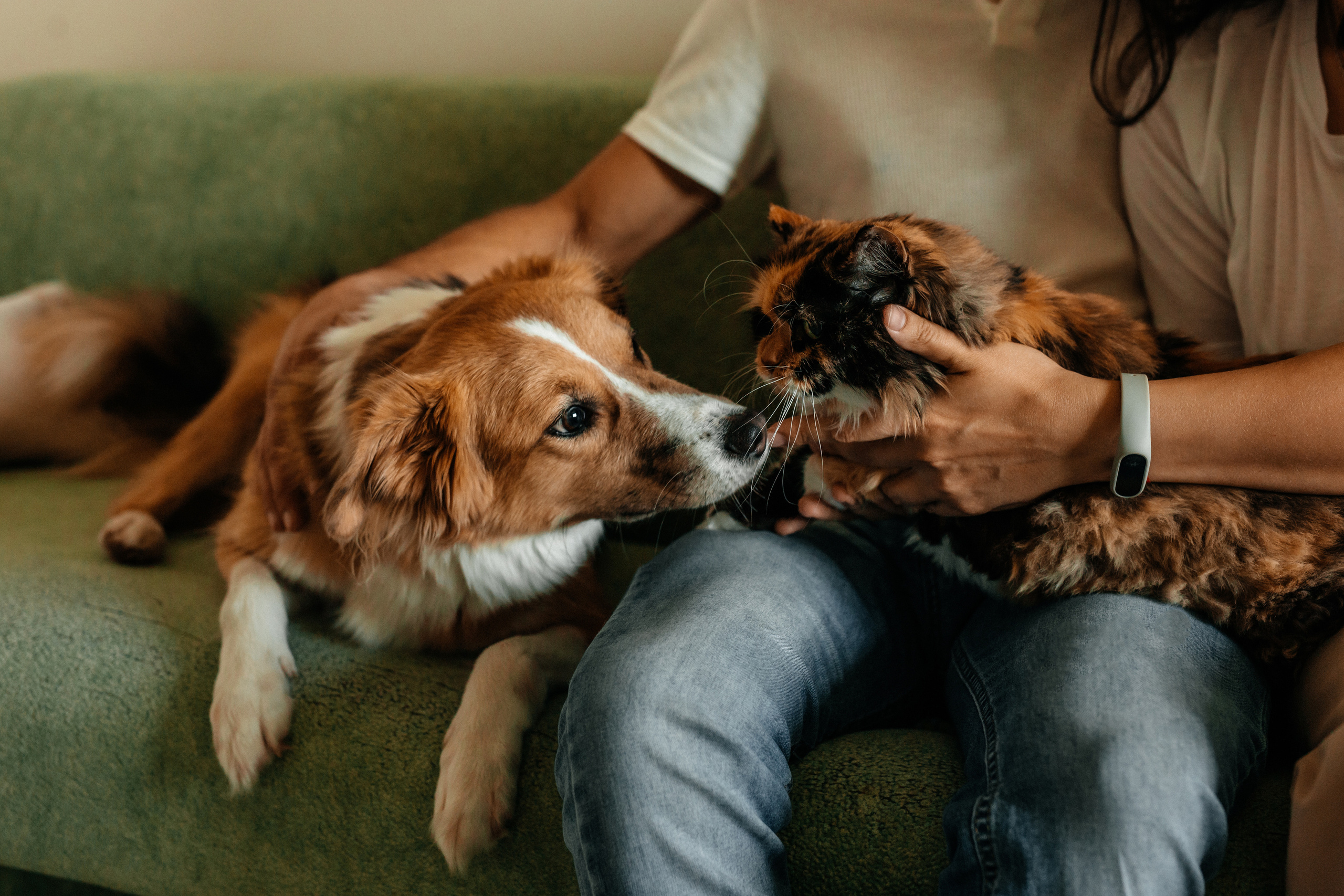 Лиза+Женя+Юля+Тёма. Семейный фотограф в Минске Саша Павлюк