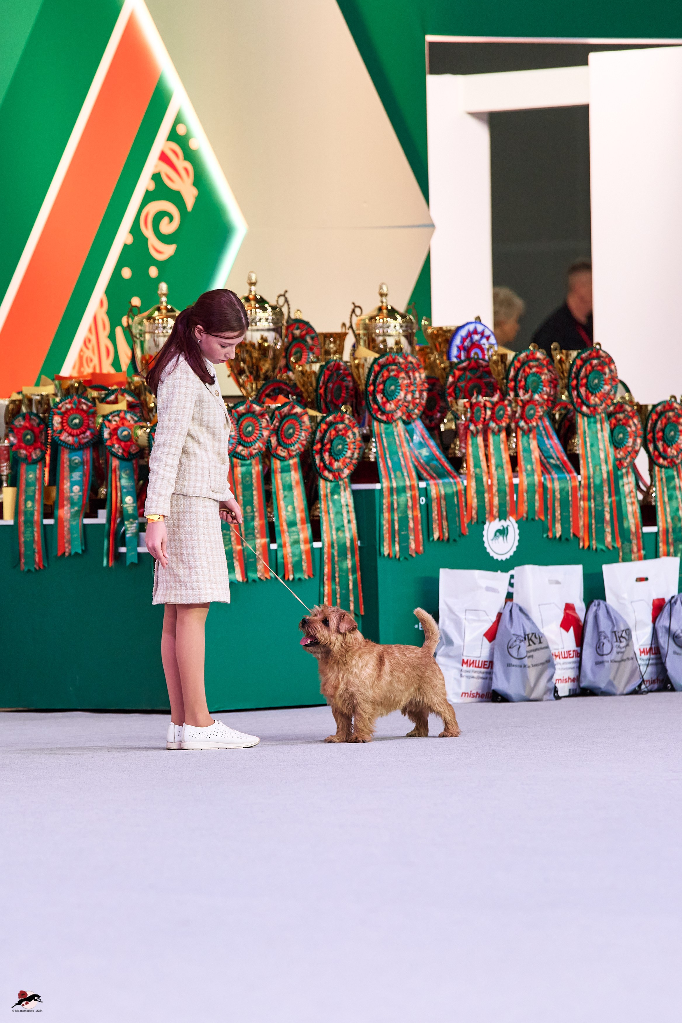 17.11.2024 «ЕВРАЗИЯ. КУБОК СНГ 2024»