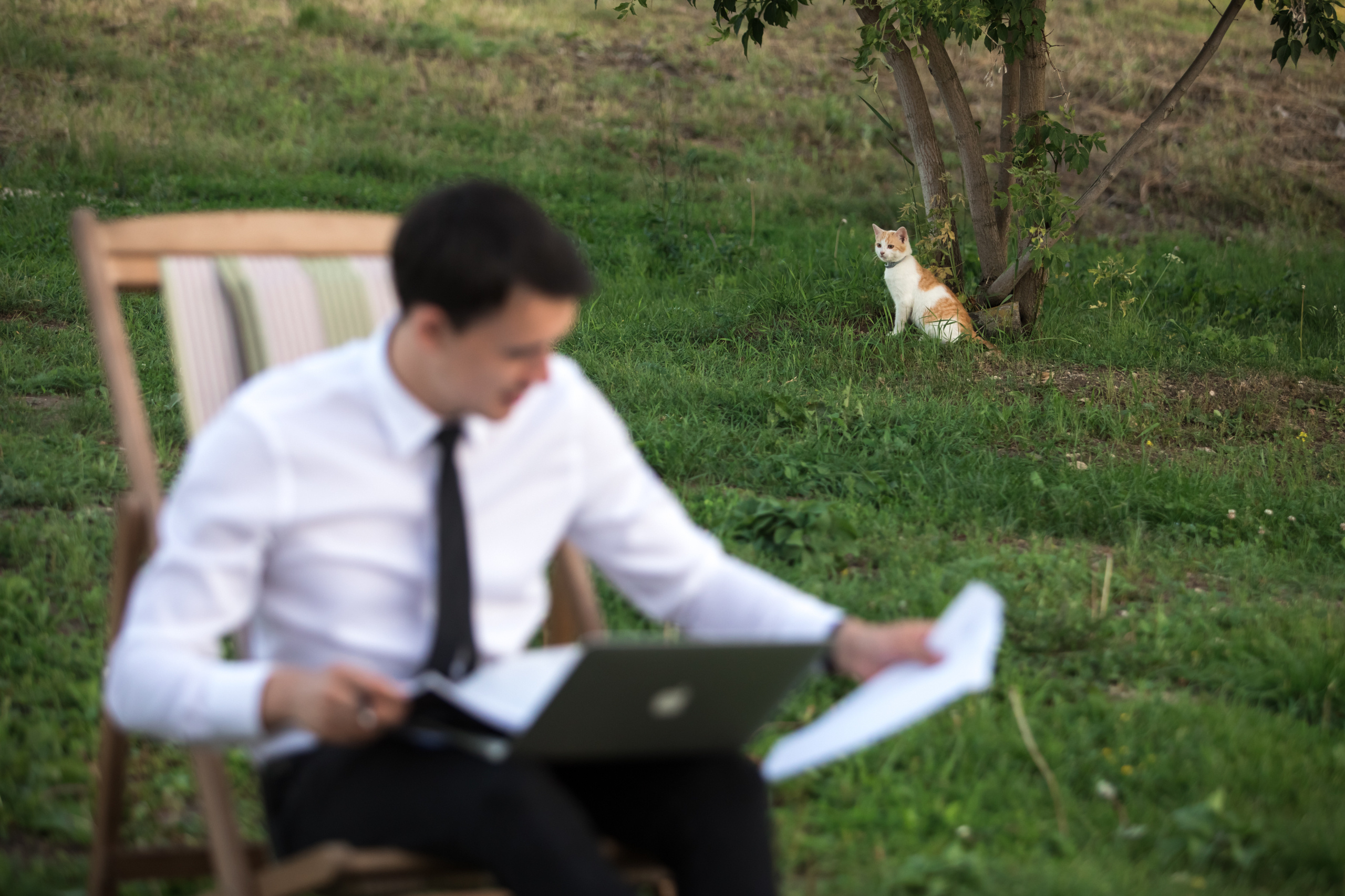 Свадебная съёмка Димы и Иры в усадьбе Скорняково-Архангельское Липецко. Свадебный фотограф в Воронеже Александр Пенкин