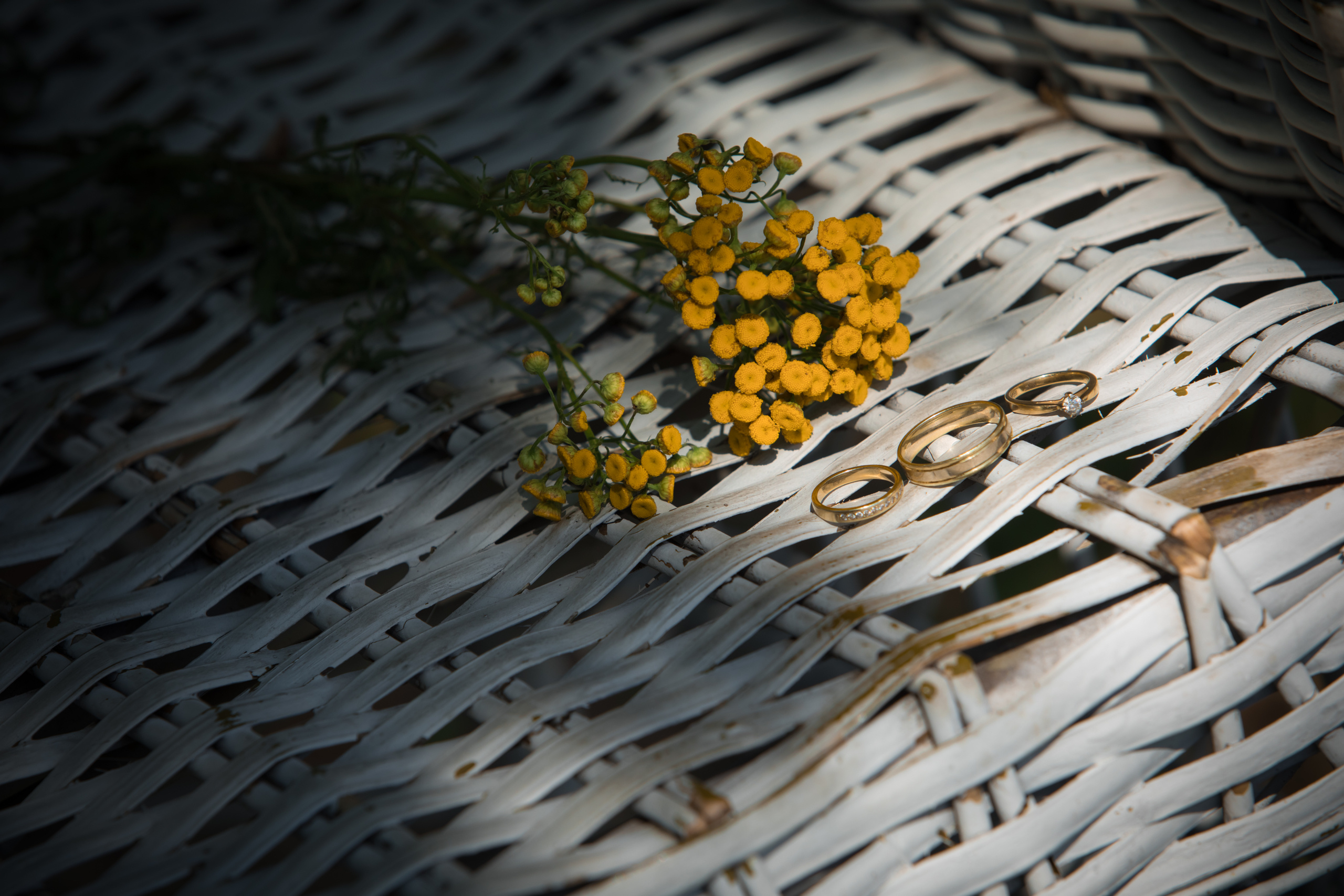 Свадебная съёмка Димы и Иры в усадьбе Скорняково-Архангельское Липецко. Свадебный фотограф в Воронеже Александр Пенкин