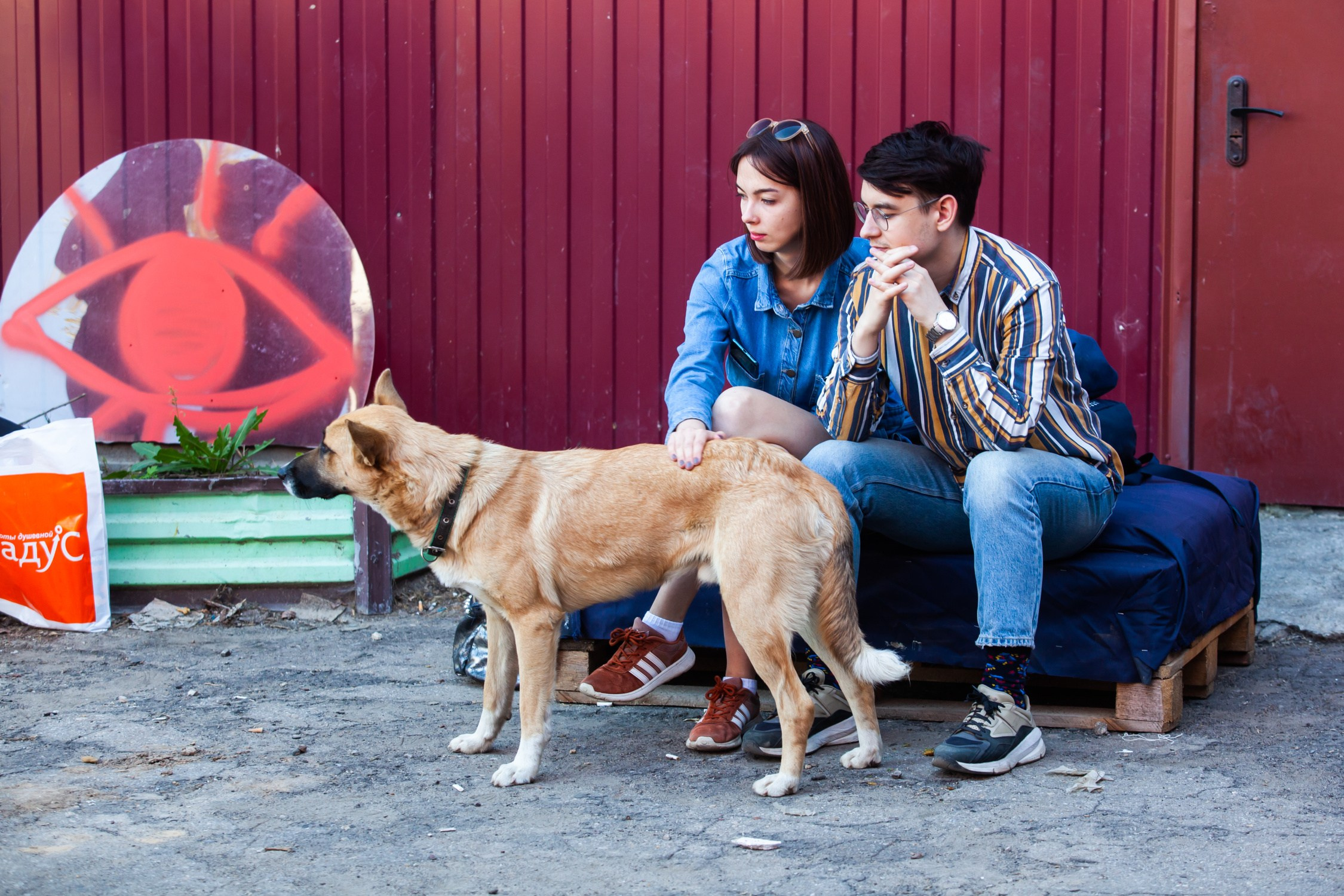 Музыкальный фестиваль «Версия» (24 августа 2019). Репортажный фотограф Алексей Пирязев