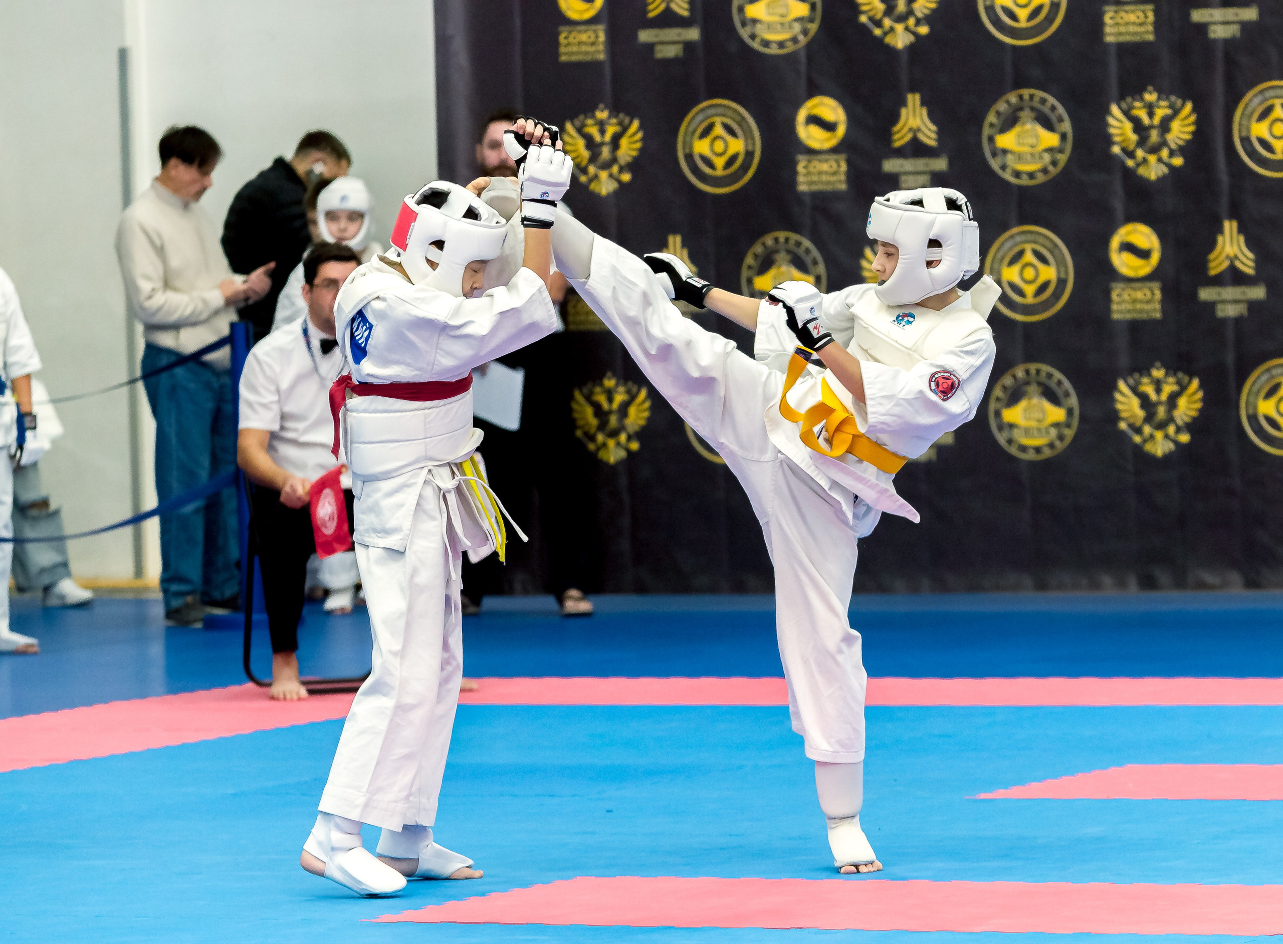 Соревнования по Киокушин памяти С. Увицкого. Репортажная съемка в Москве и области. Анималистика