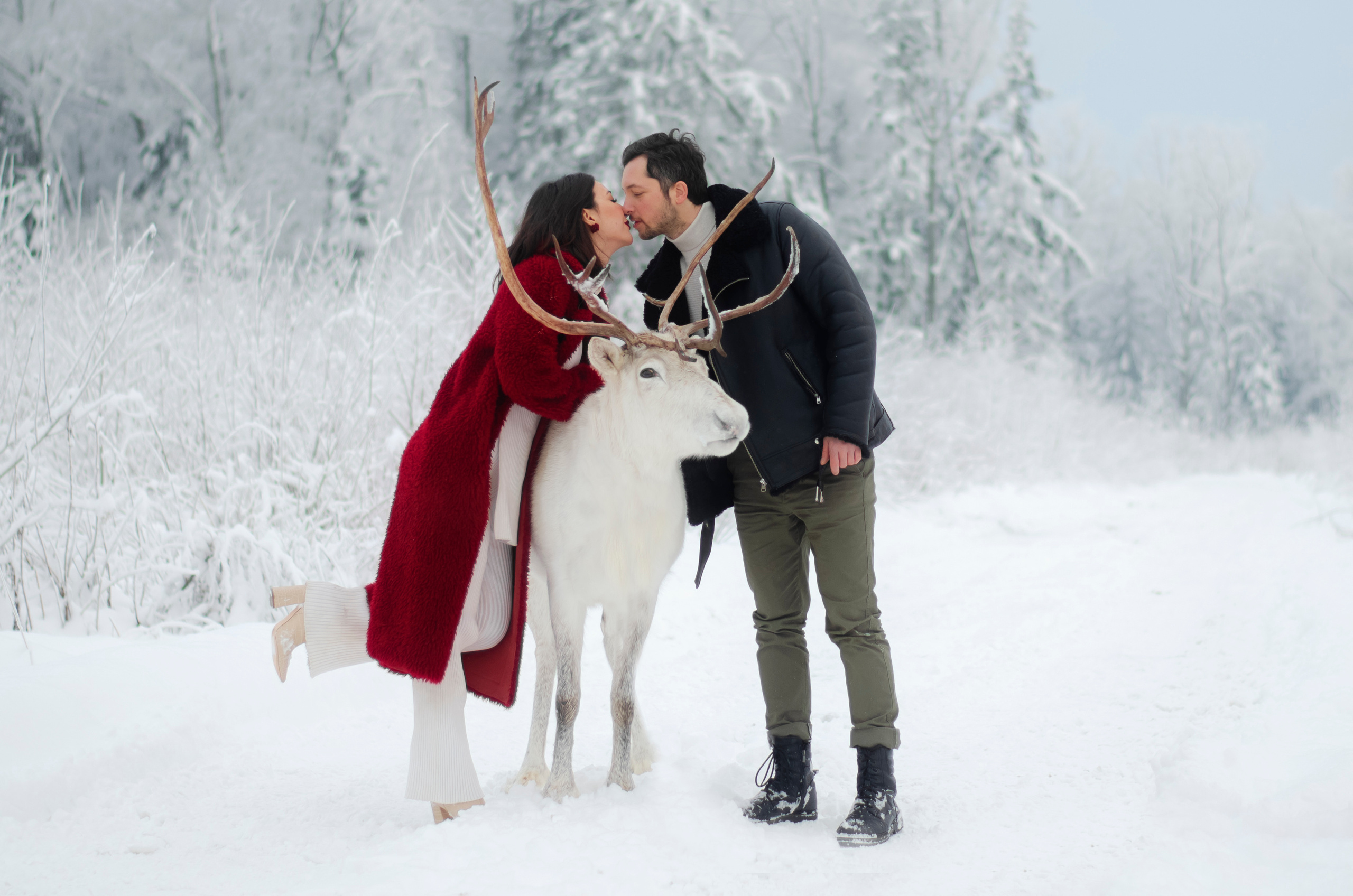 Съемка с животными. Фотограф Мария Прокофьева в Санкт-Петербурге и ЛО