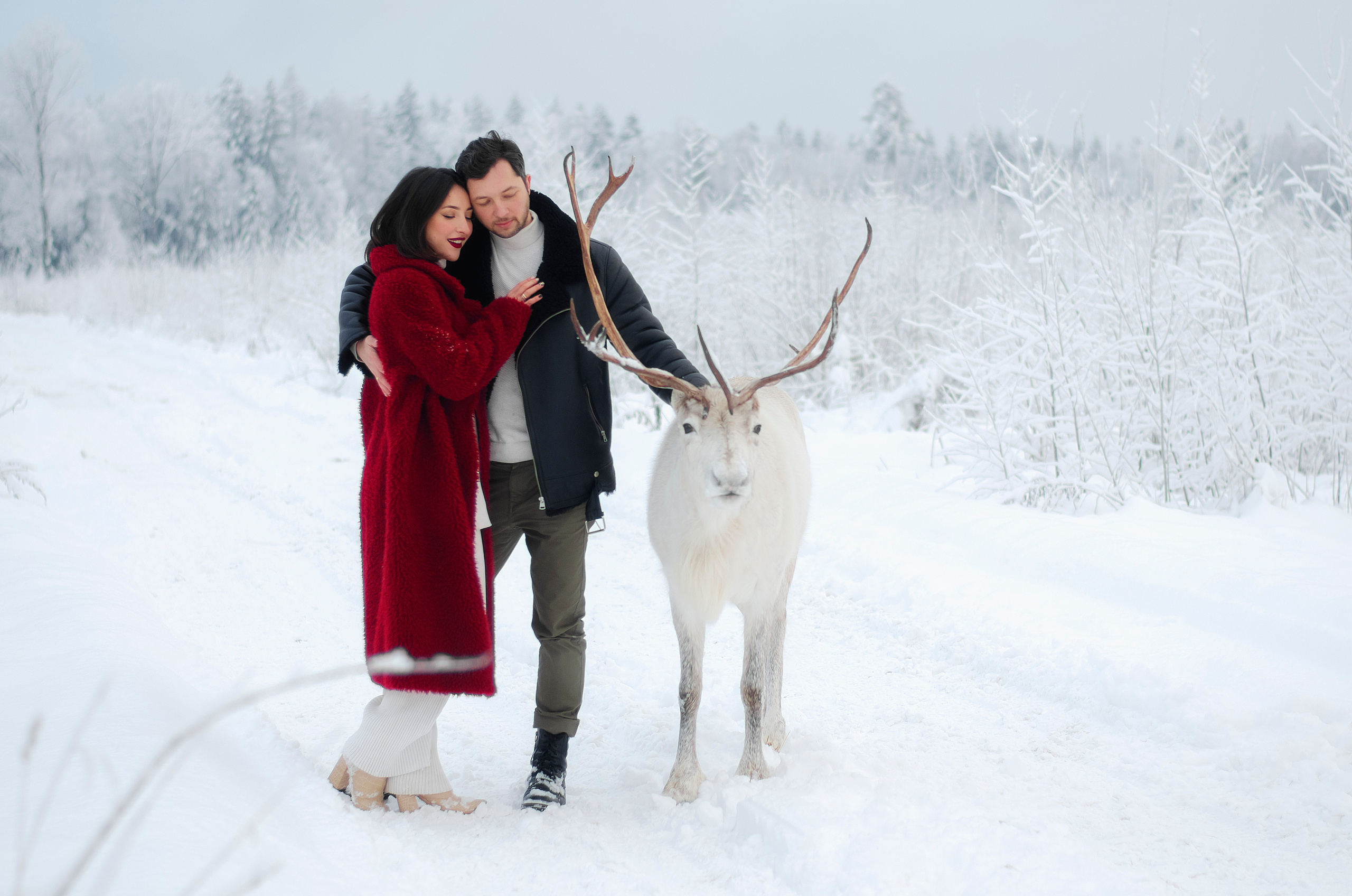 Съемка с животными. Фотограф Мария Прокофьева в Санкт-Петербурге и ЛО