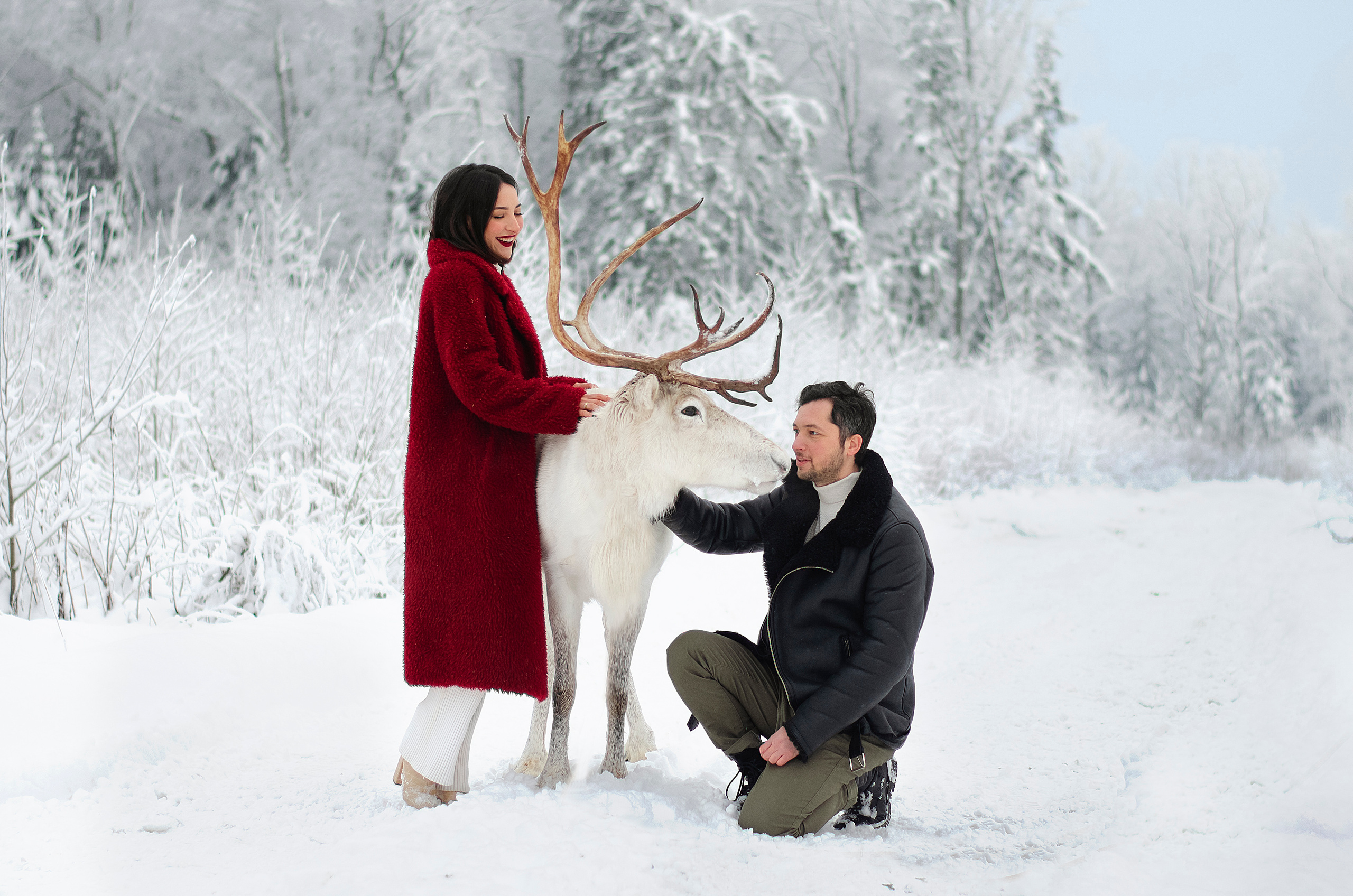 Съемка с животными. Фотограф Мария Прокофьева в Санкт-Петербурге и ЛО