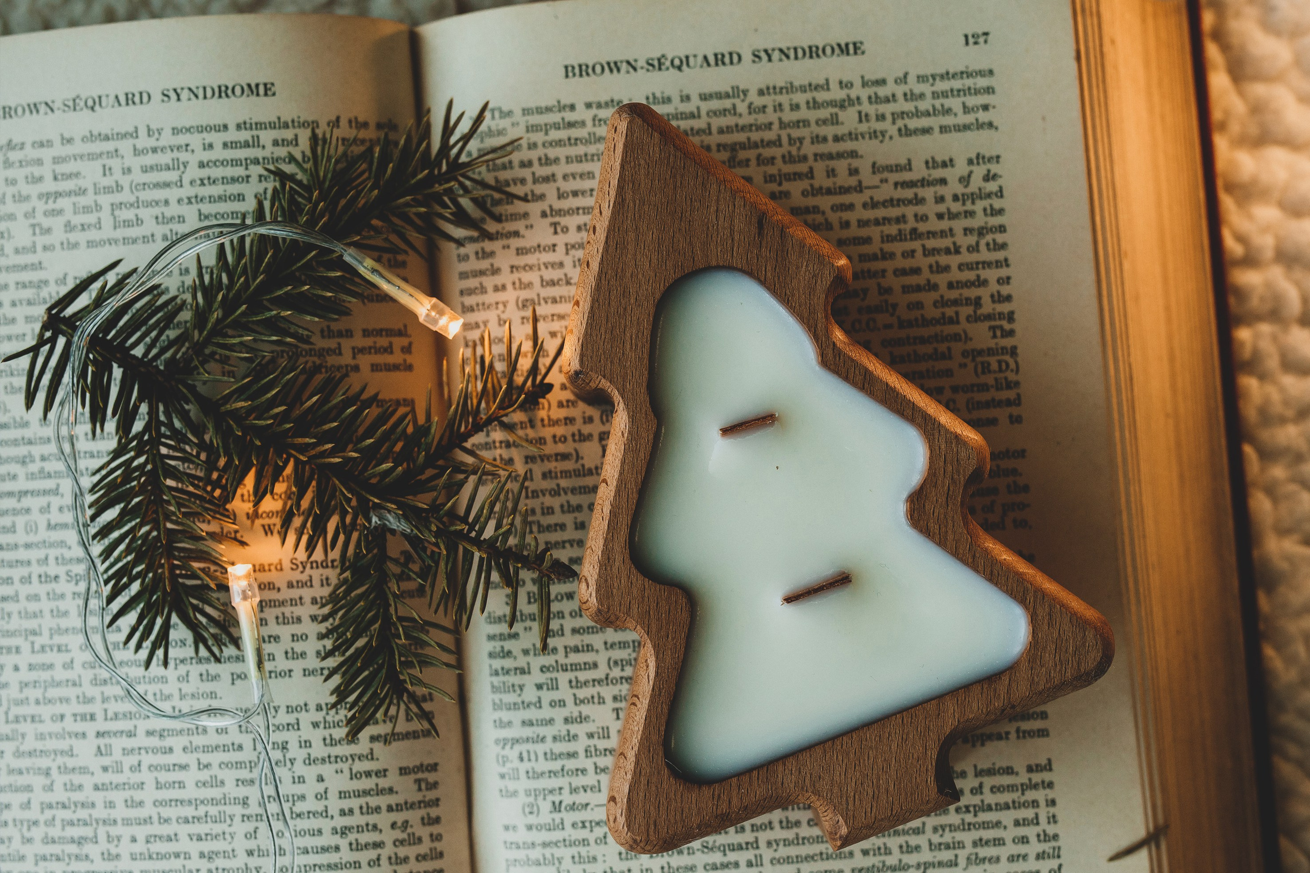 Новогодняя тематика. Команда фотографов Кристины Ивановой