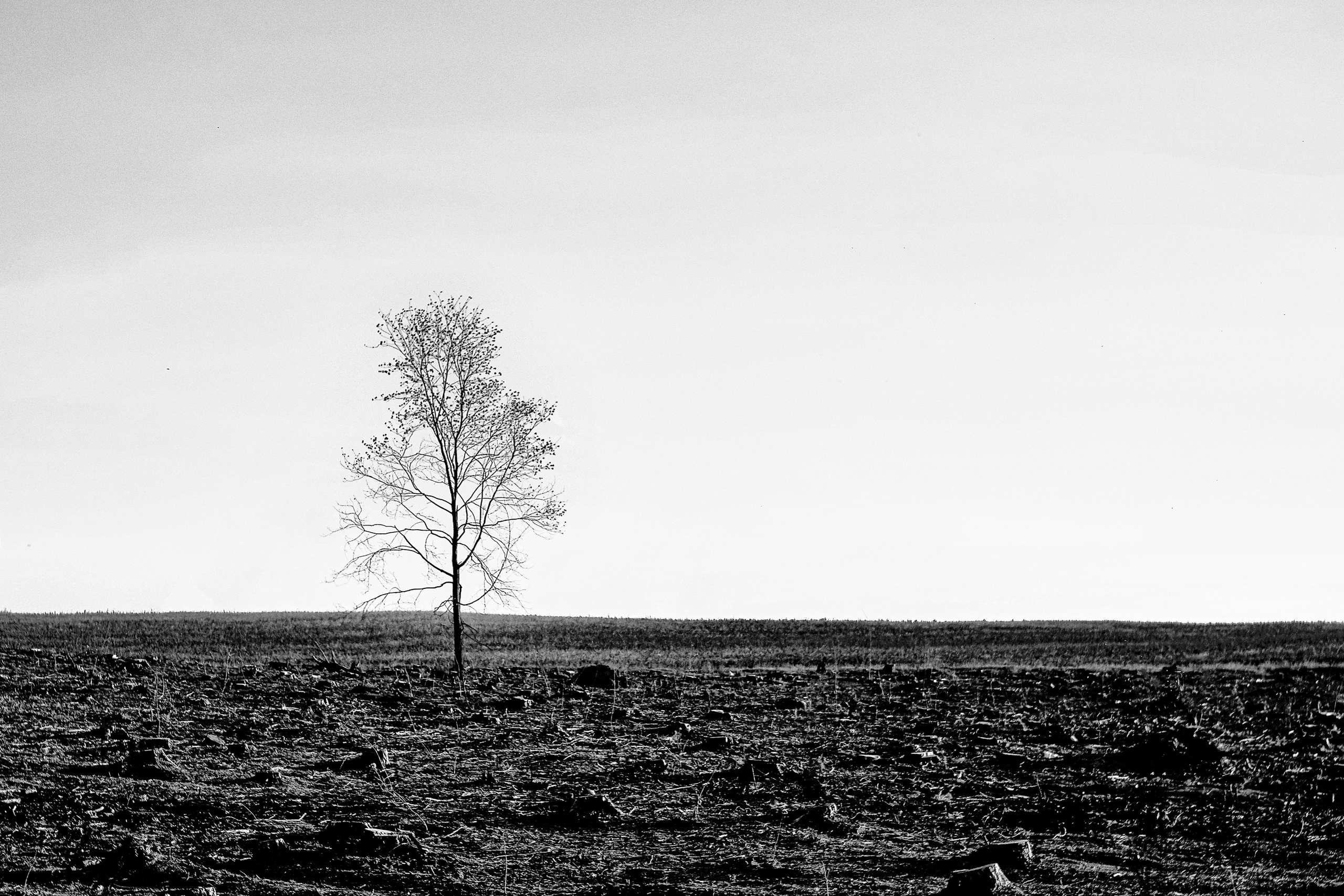 Минск. Фотограф Антон Швец — Монохромная реальность