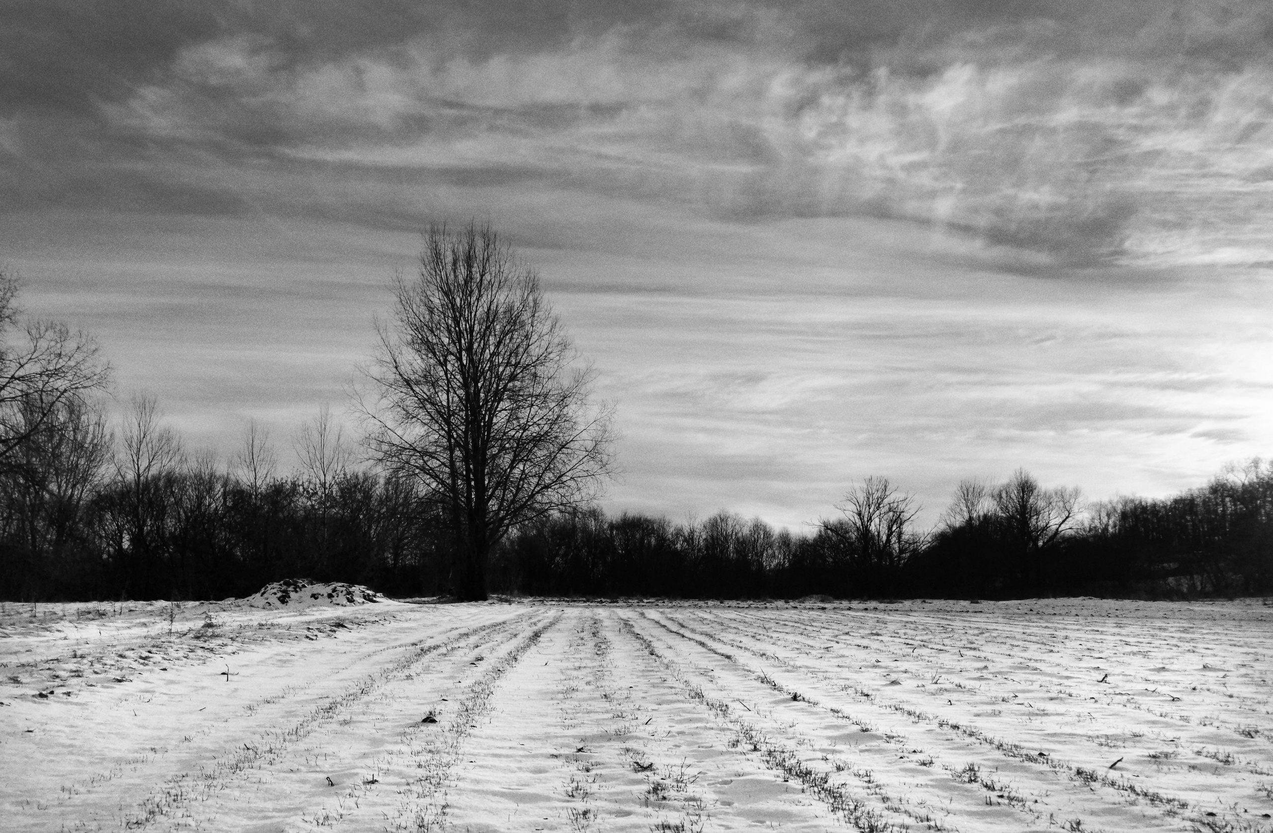 Жизнь деревенская. Фотограф Антон Швец — Монохромная реальность