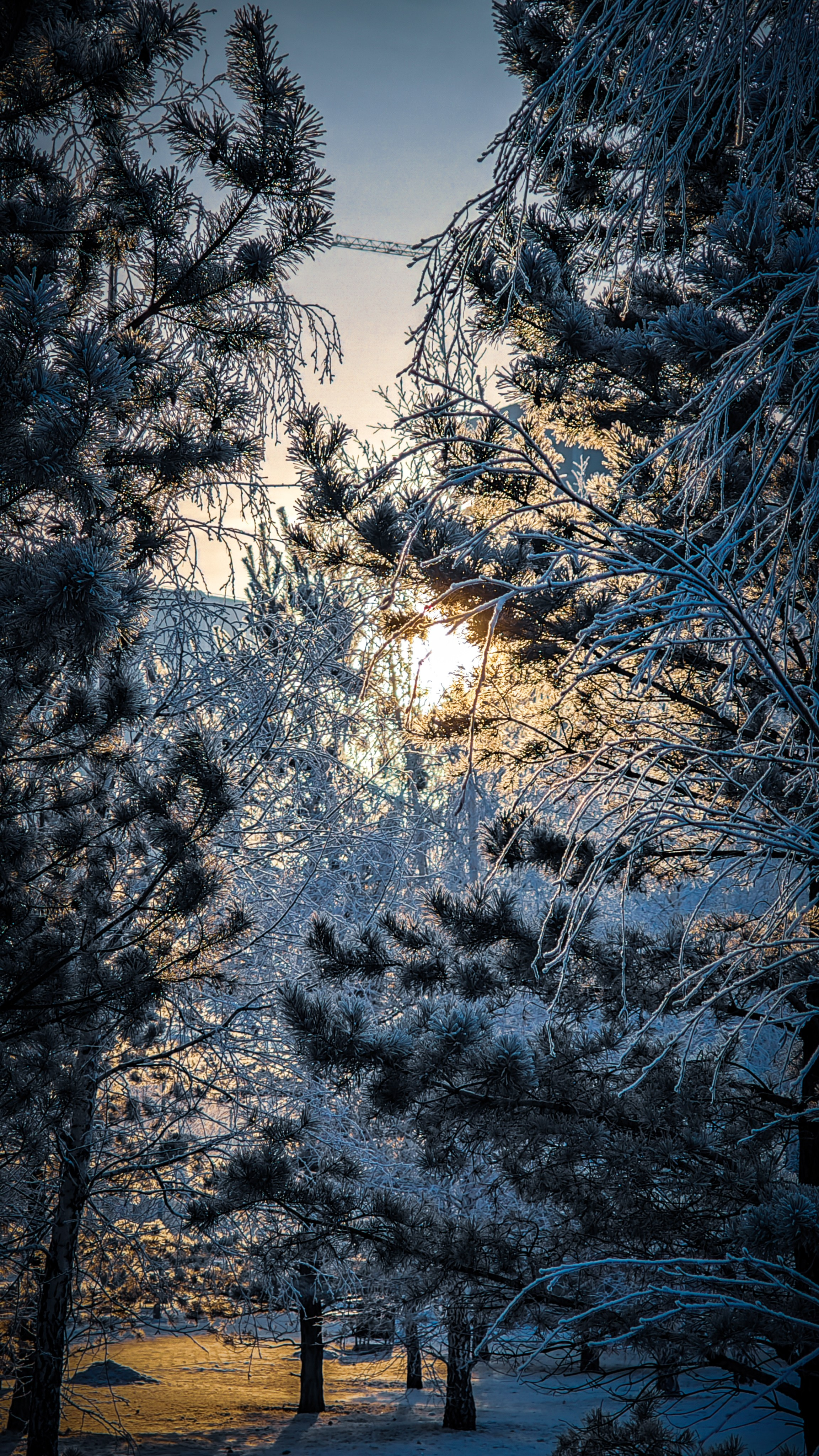 Скоро лето. Игорь Урывский. Фотограф Красноярск