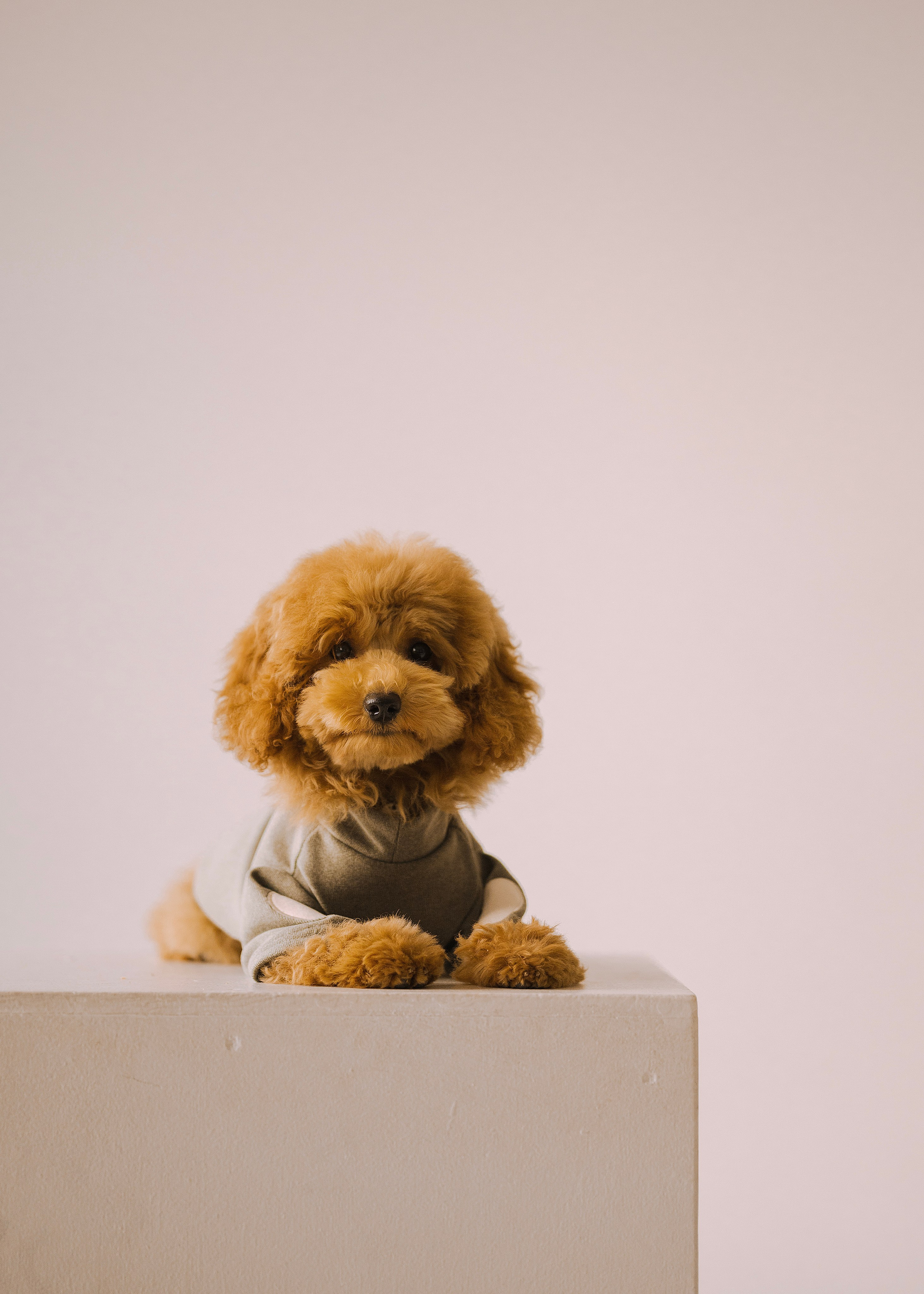 Утилита. Фотограф- анималист Александра Матвеева