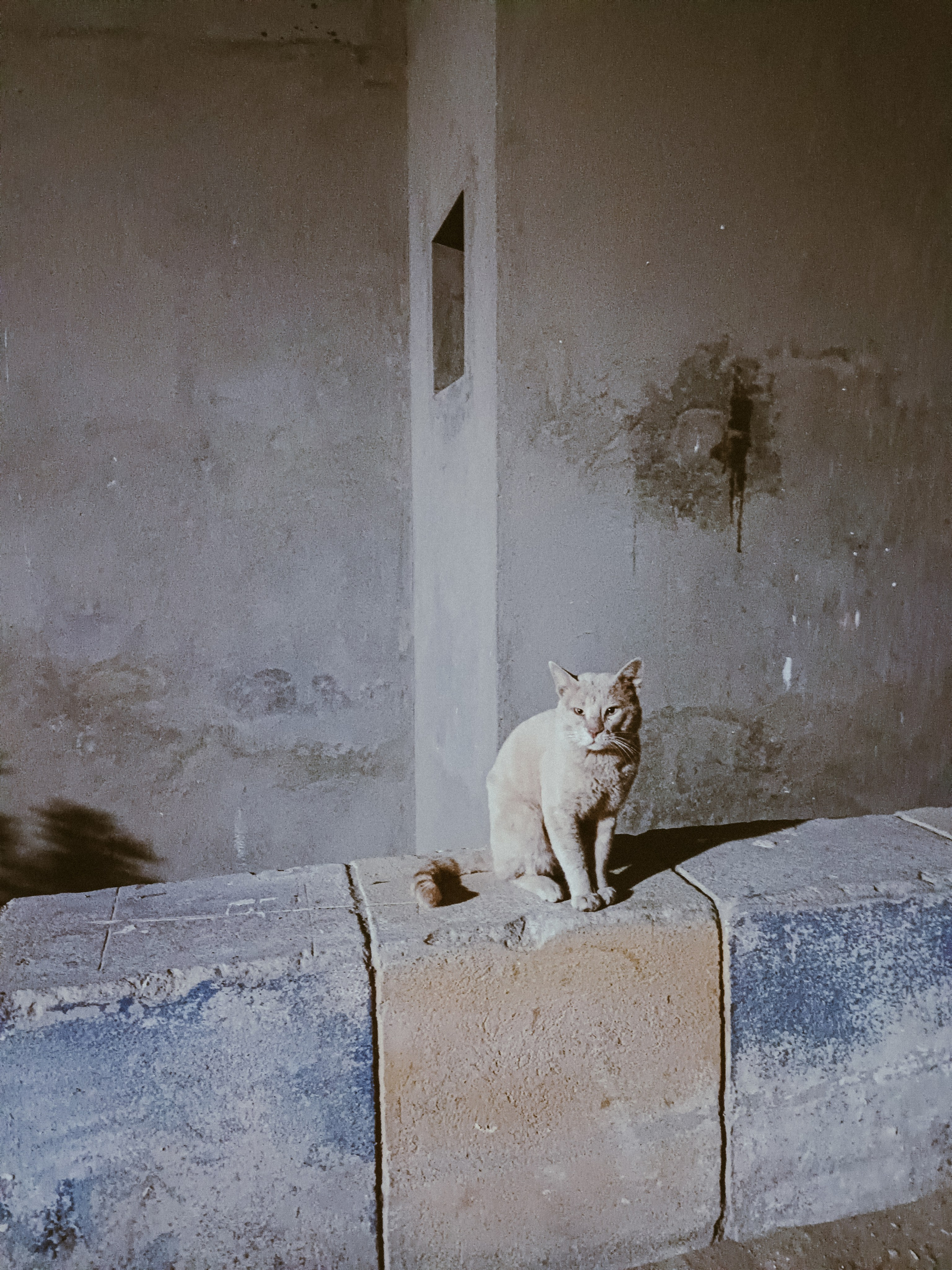 Мобильная. Jorgis — фотограф в Хургаде / обучение фотографии