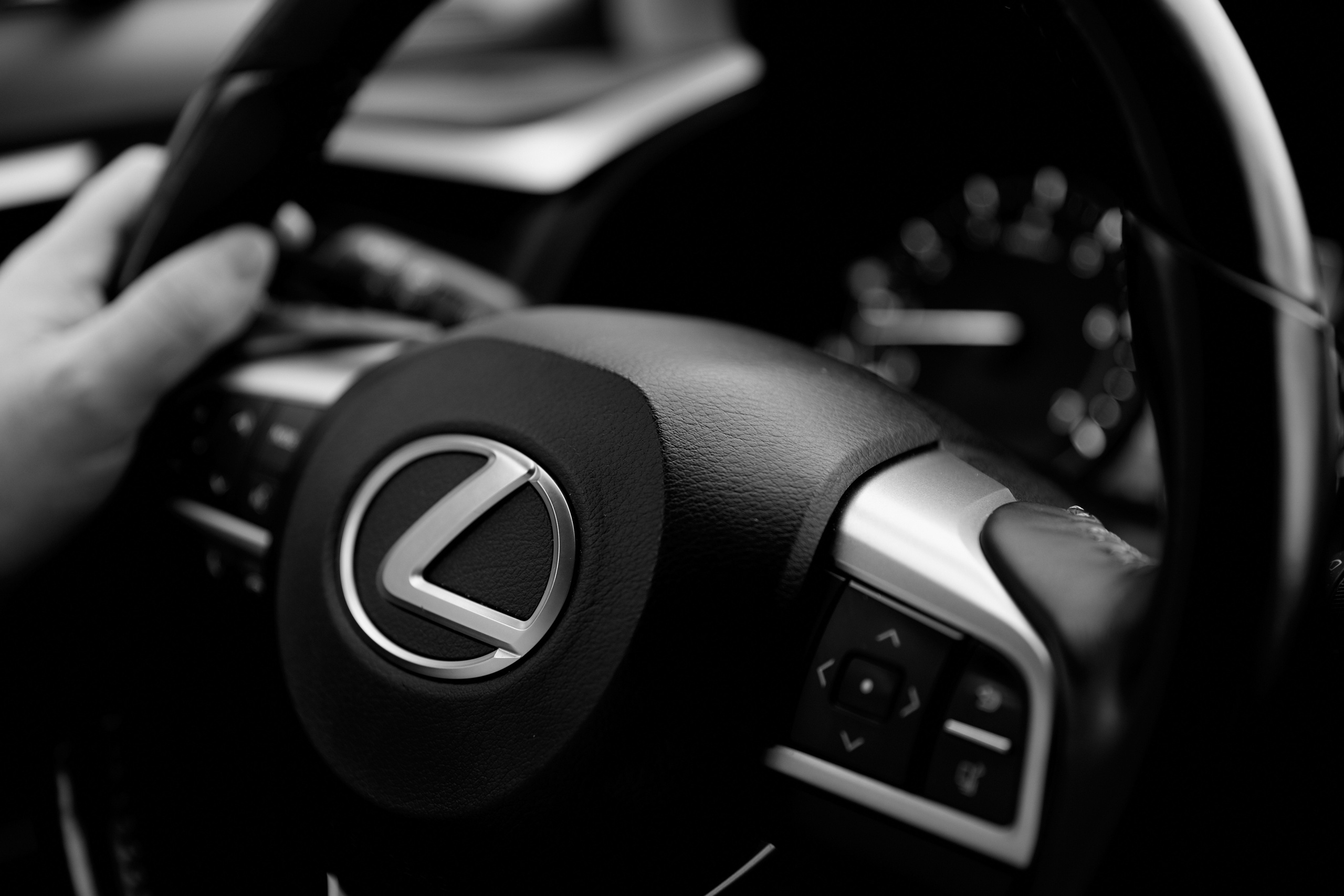 Nataliya & Maksim. Профессиональный фотограф Светлана Писарева