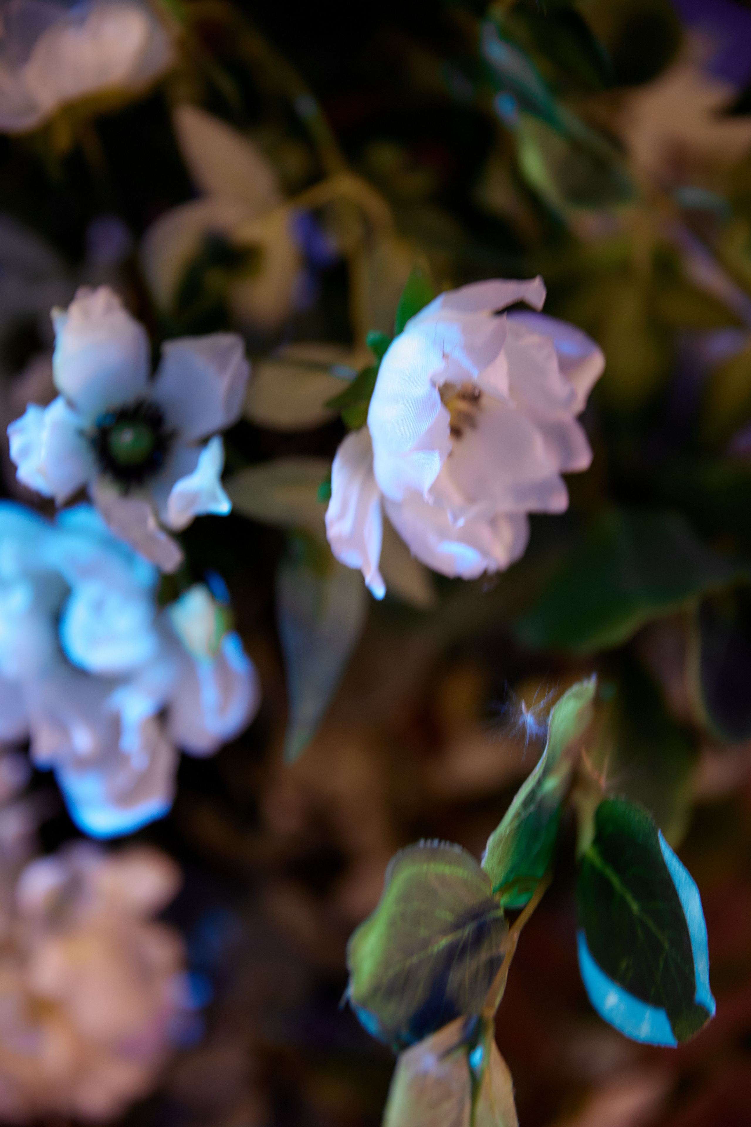 Nataliya & Maksim. Профессиональный фотограф Светлана Писарева