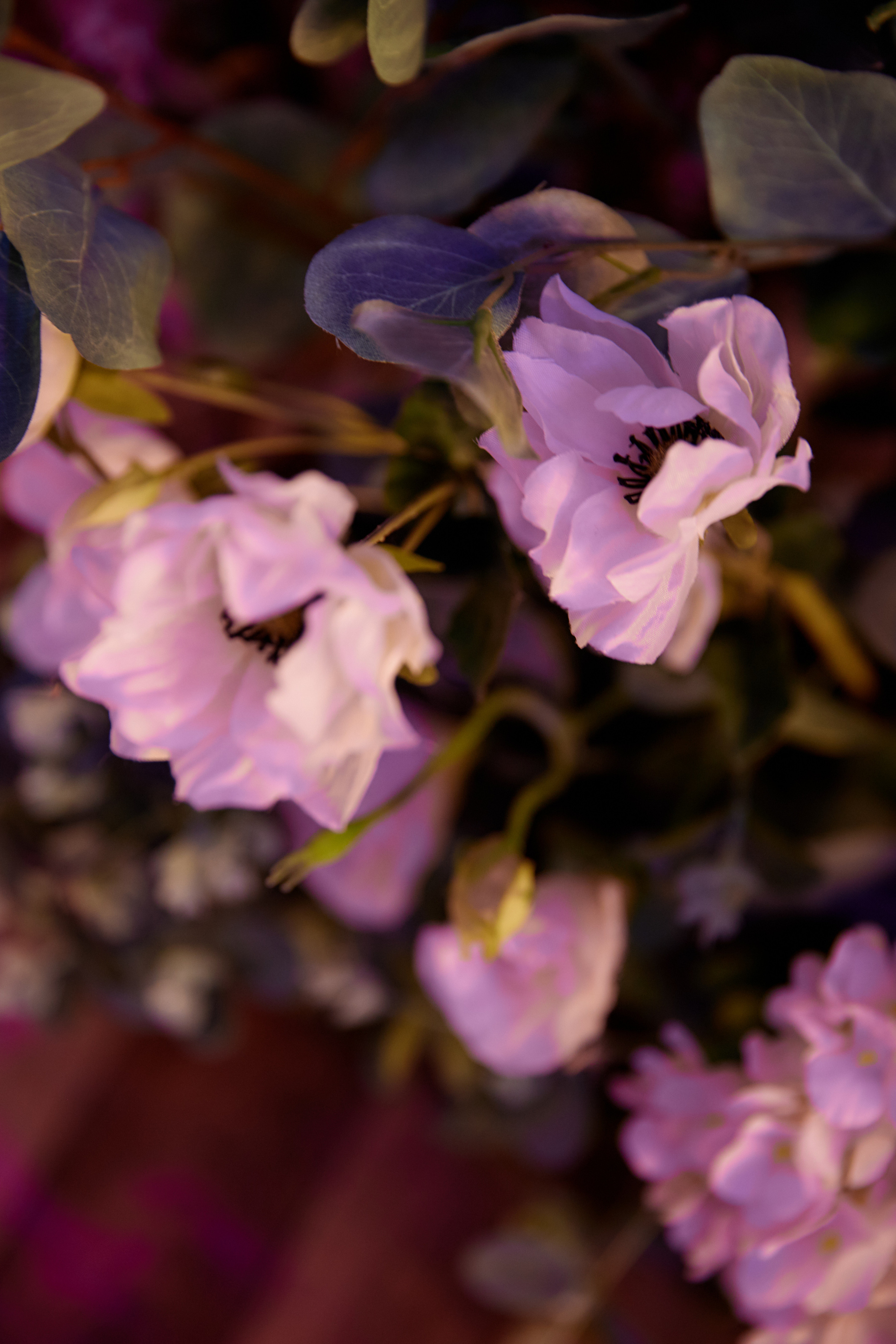 Nataliya & Maksim. Профессиональный фотограф Светлана Писарева