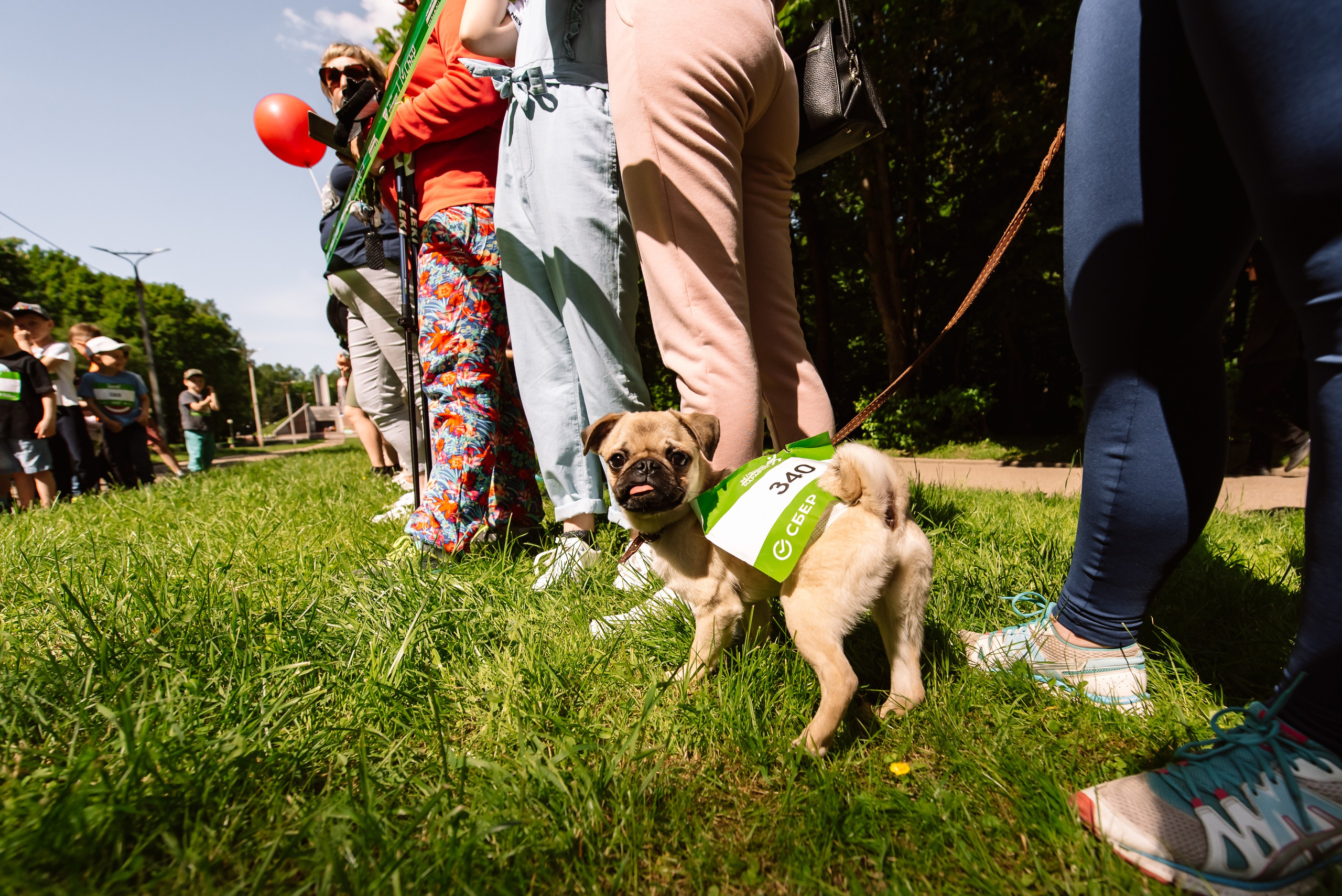Зеленый марафон СБЕР. Репортажный фотограф в Москве и по всему миру Степанова Юлия