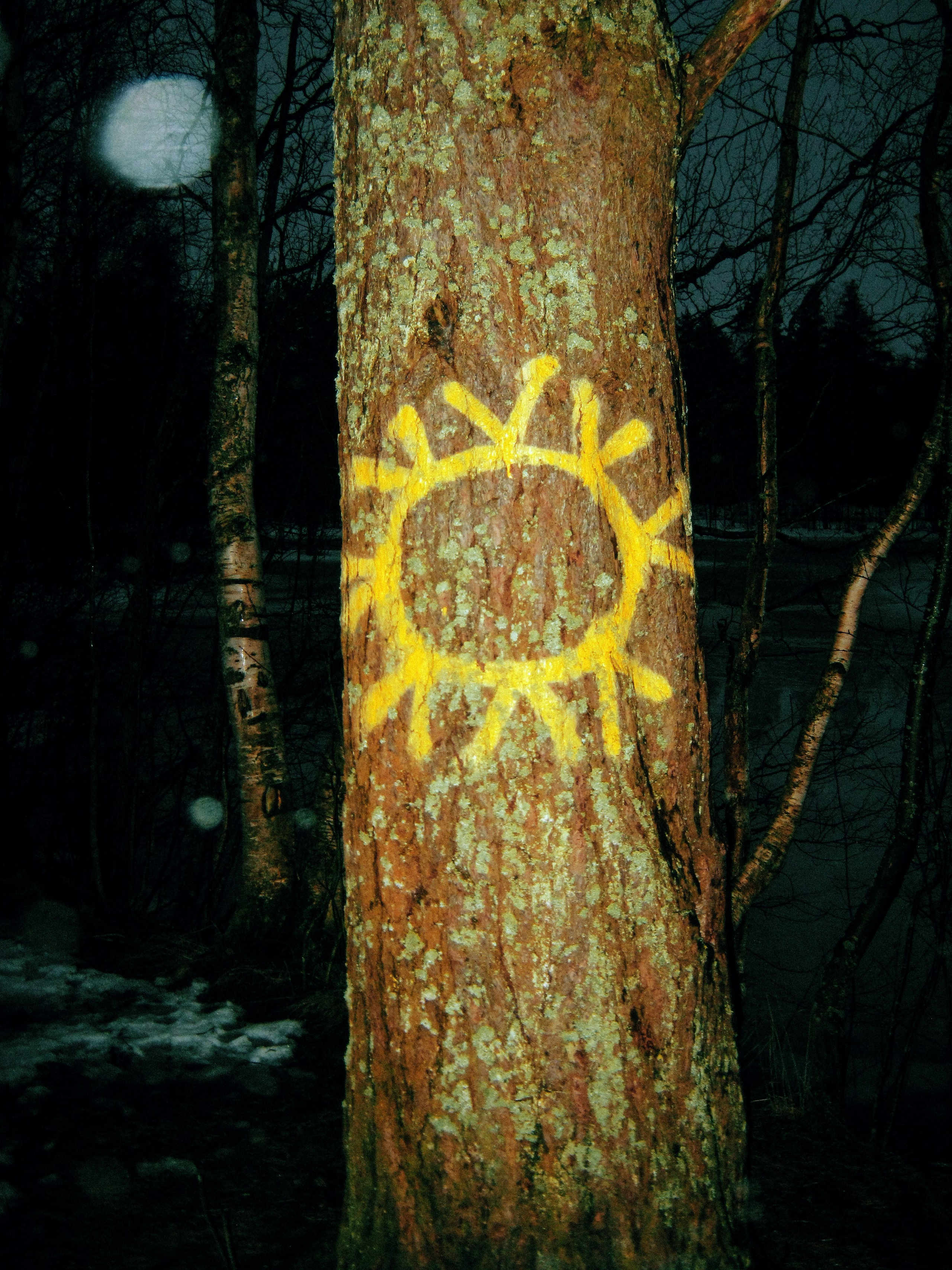 И вокруг меня. Портретный и концертный фотограф в Санкт-Петербурге Егор Телятников