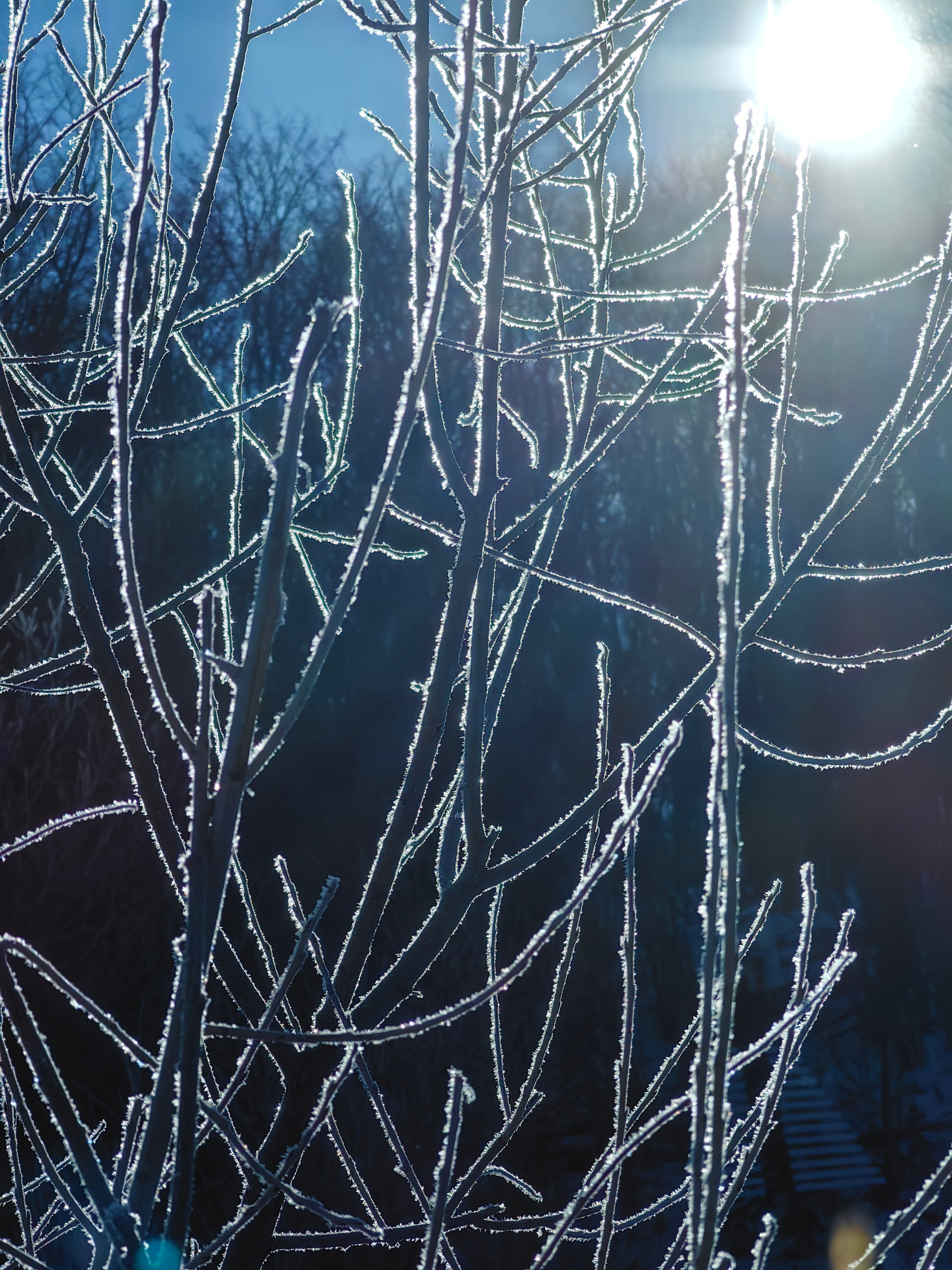 Галерея Huawei p60. Константин Устинов — фотограф