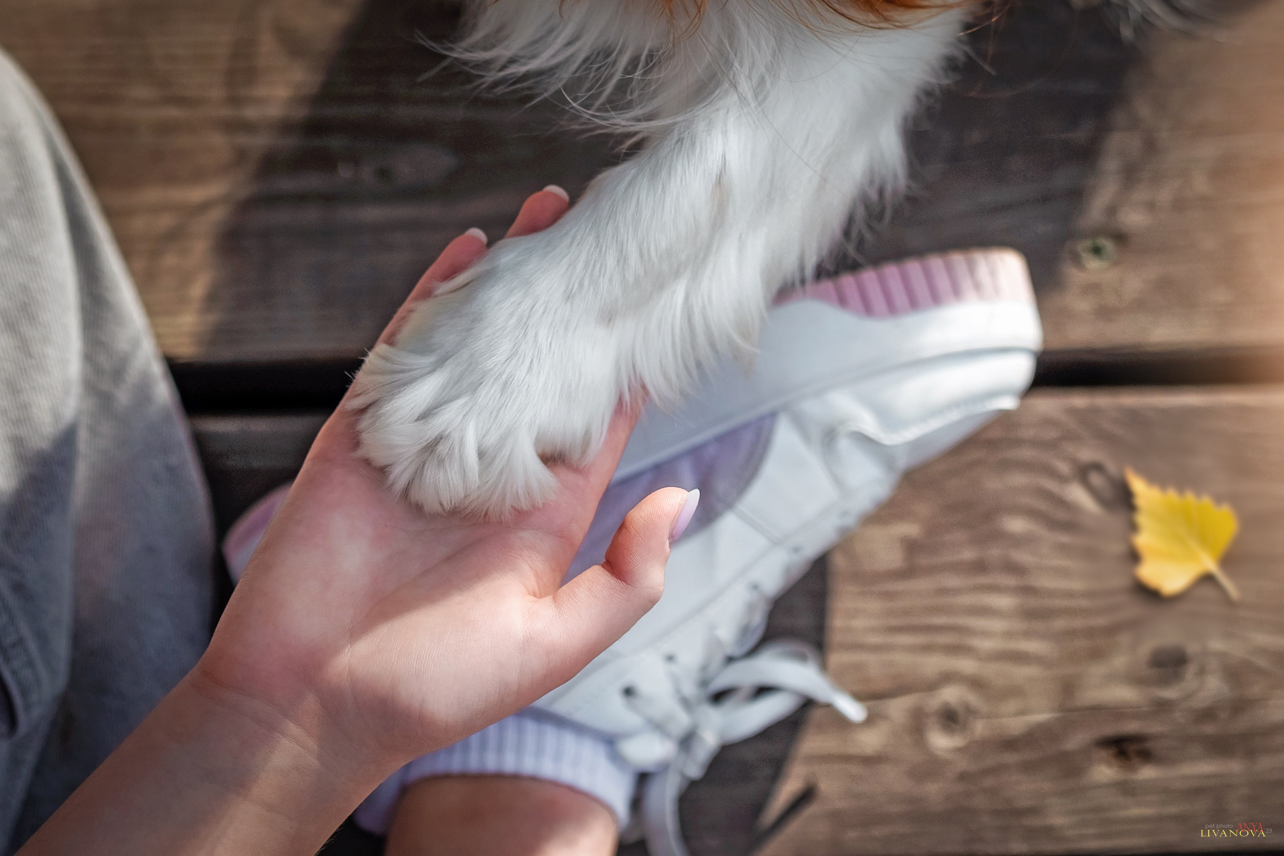 Маруся и Энди. Фотограф анималист Аня Ливанова | Рыбинск