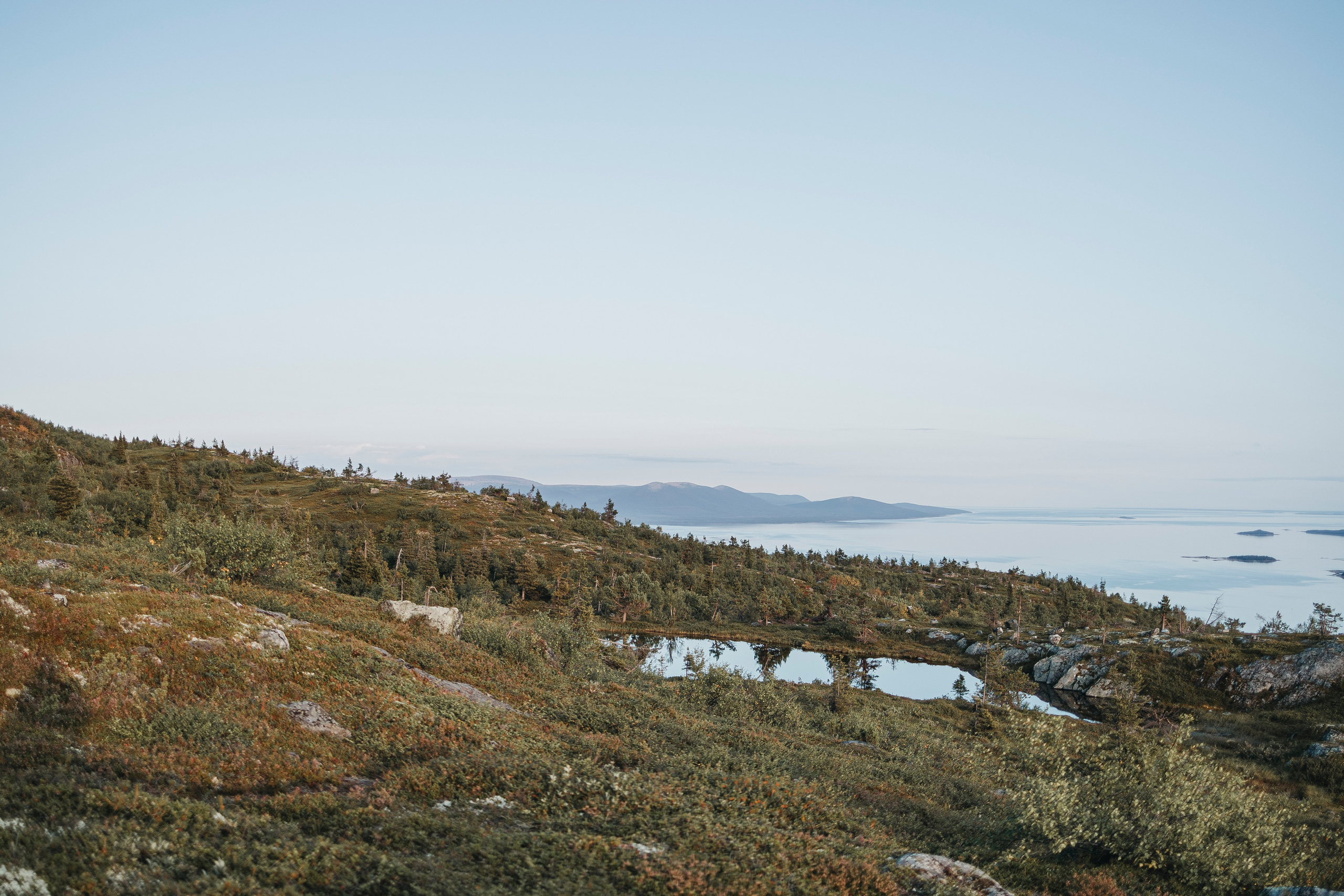 Горы. Фотограф-анималист Анна Маринич