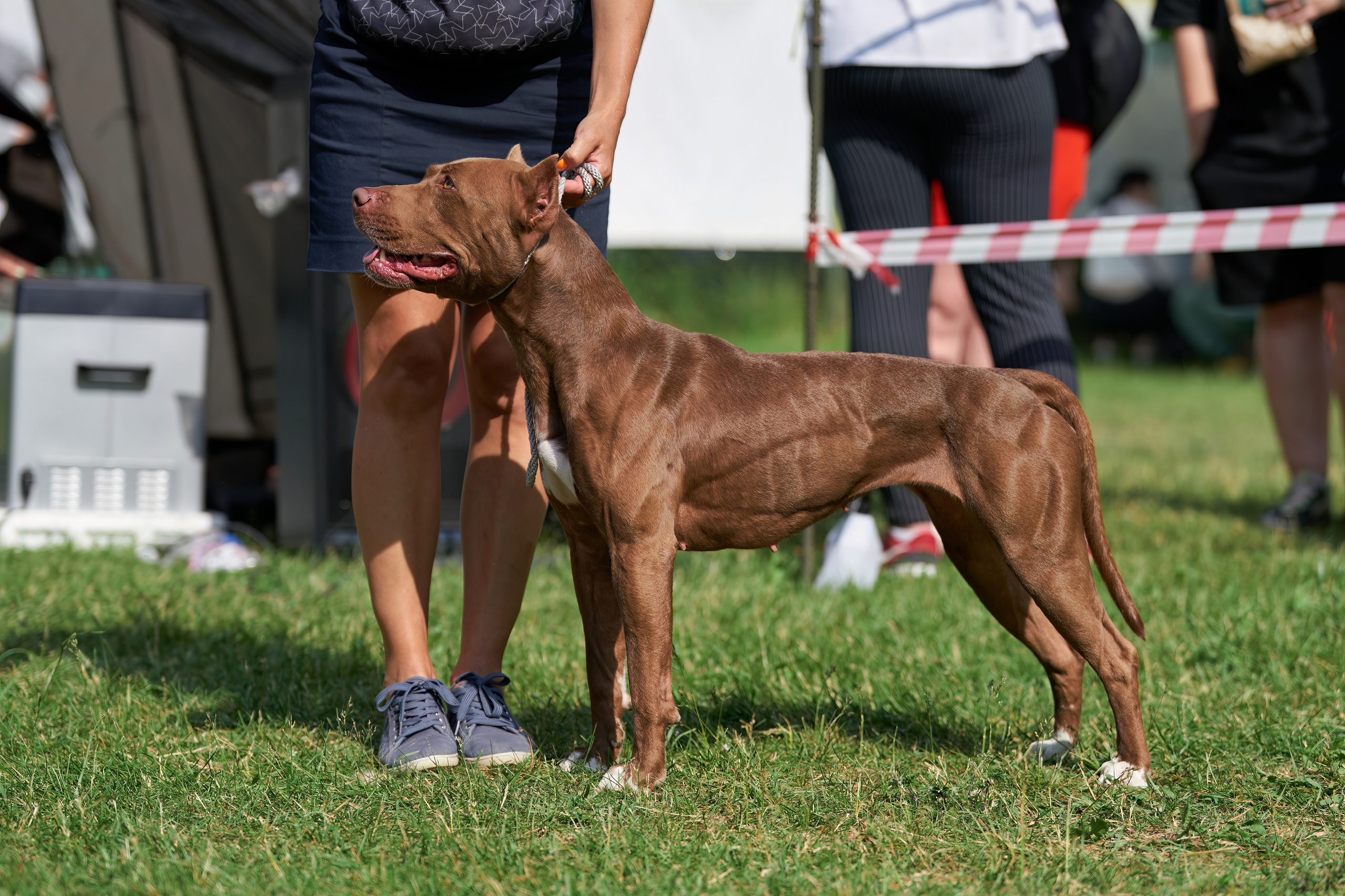 Репортажная съемка. Фотограф-анималист Михаил Манухин