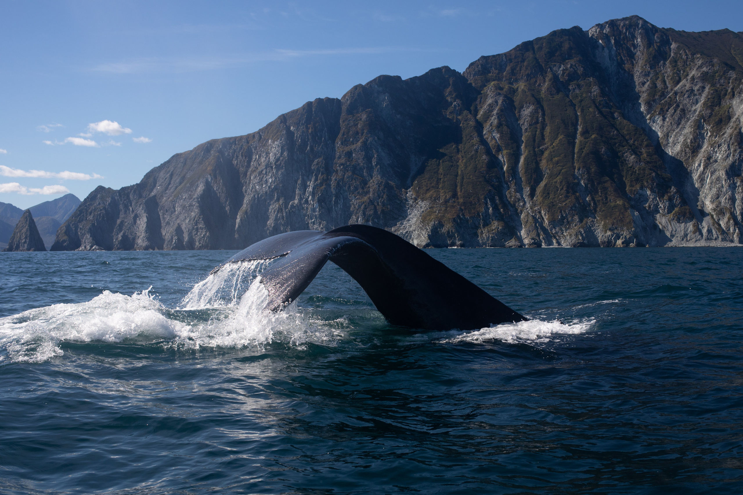 Kamchatka. Yulia Tsyganova