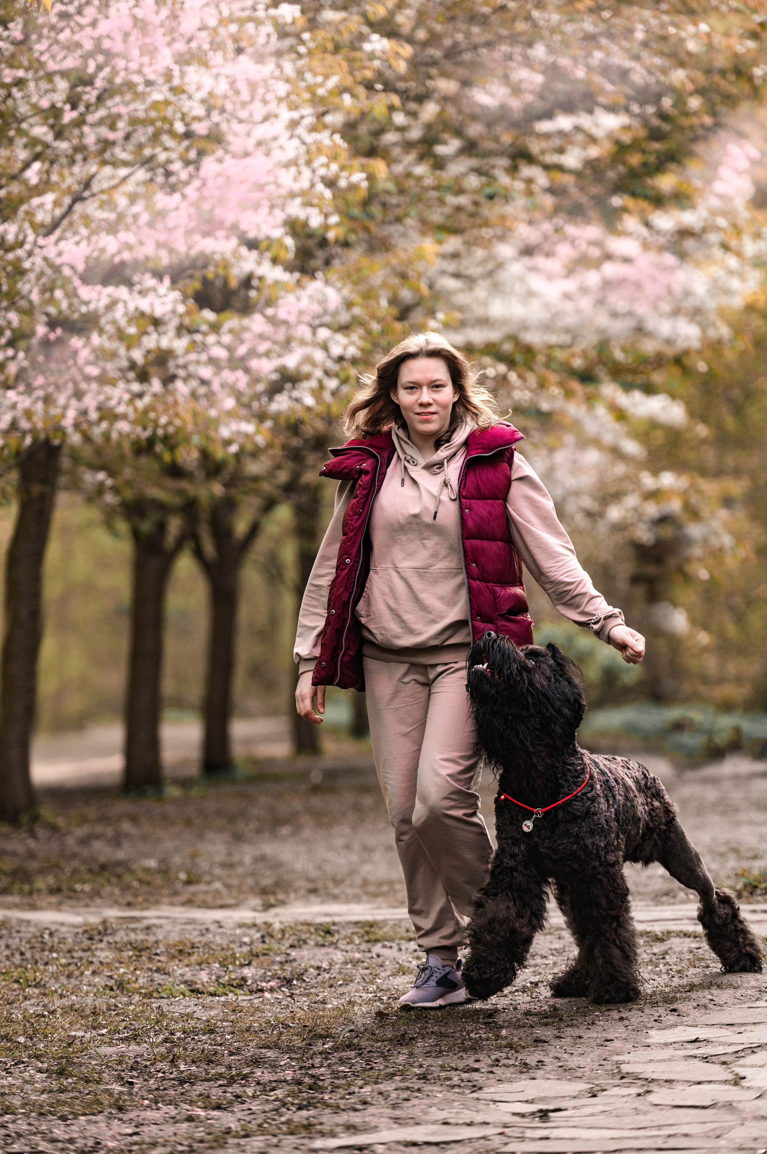 Черныши, сакура и краски холи. Фотограф-анималист