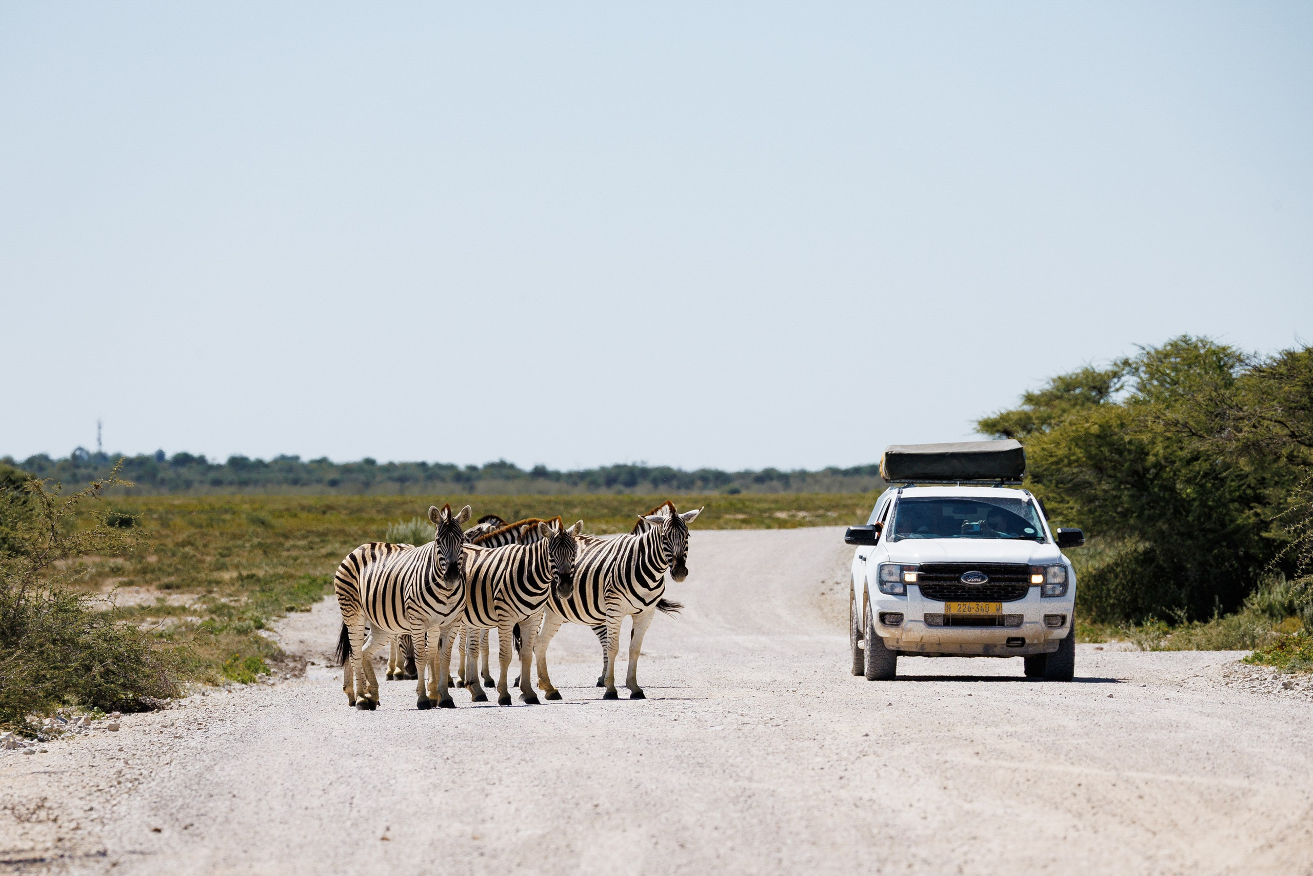 НАМИБИЯ. Роадтрип