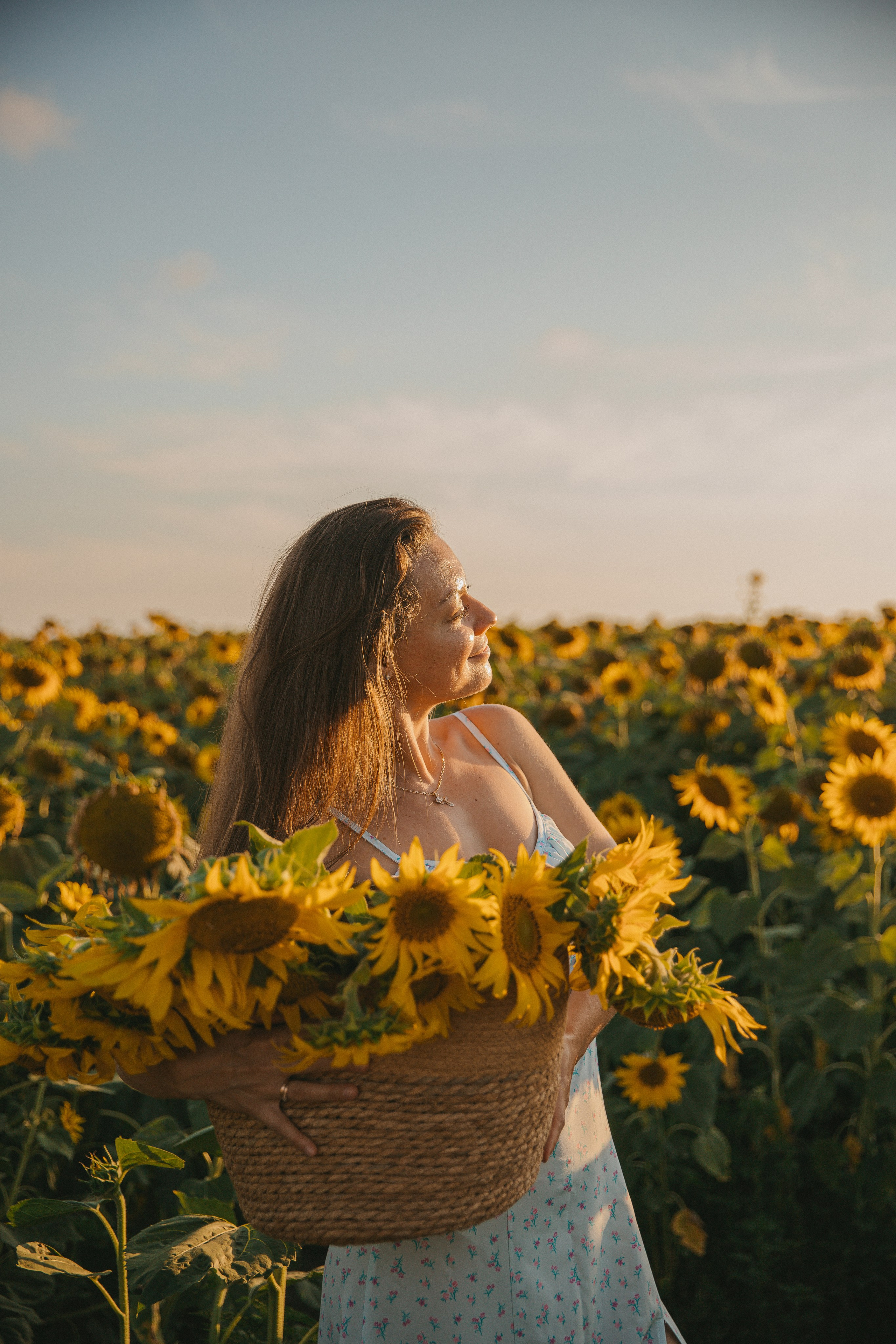 Сьемка в подсолнухах