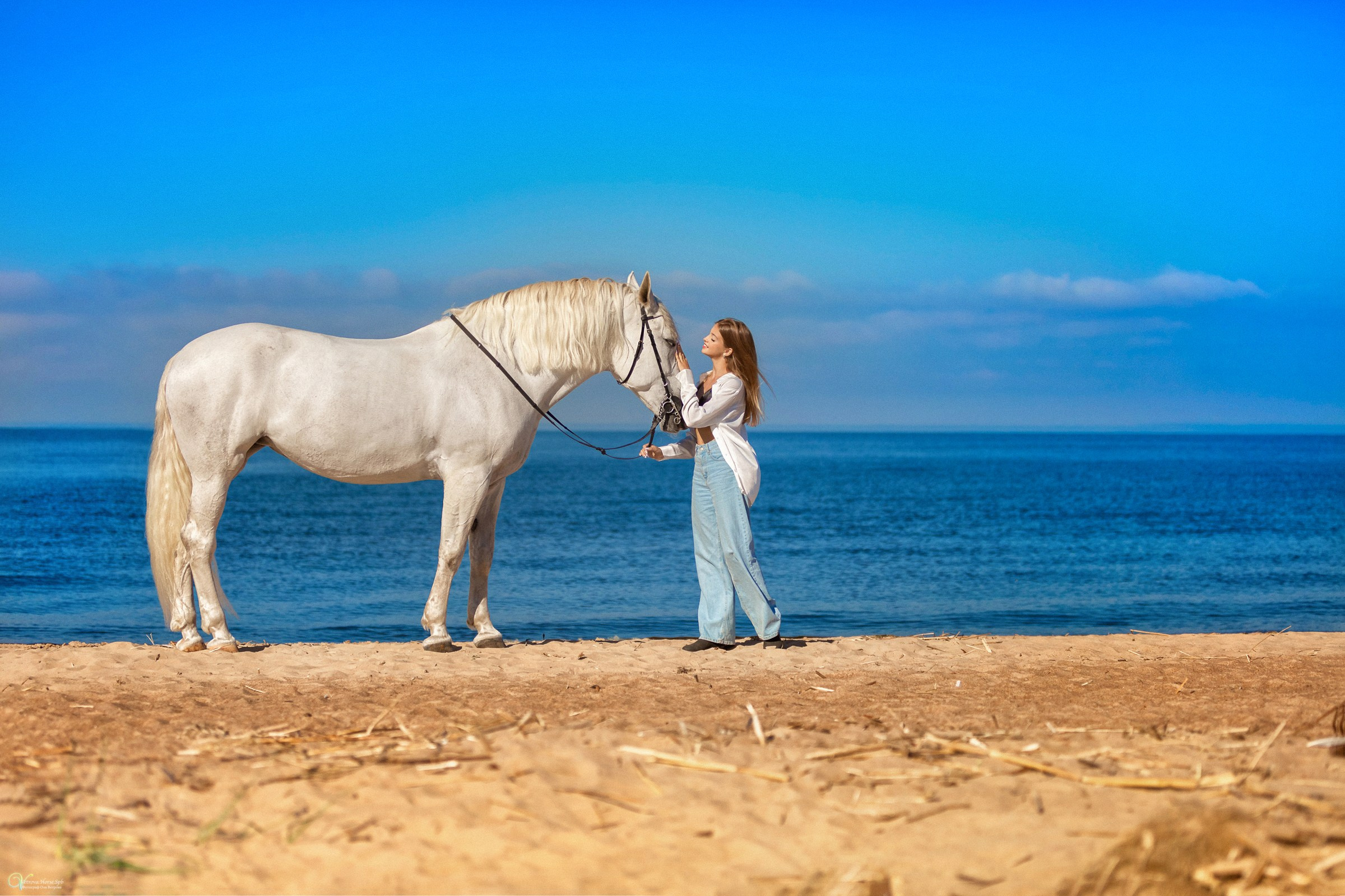 Девушка и белая лошадь, голубое небо, голубое море, Фотосессии в Сестрорецке, фотосессии в Курортном районе