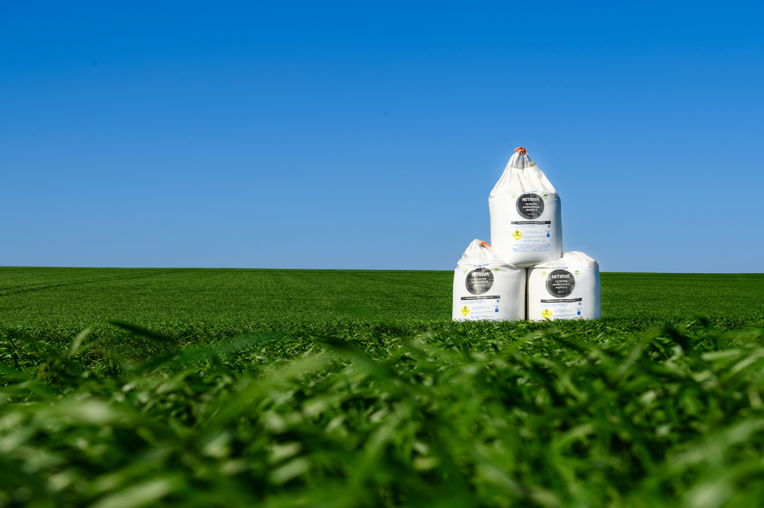 Проекты. Профессиональный фотограф Вячеслав Плацында | Липецк |