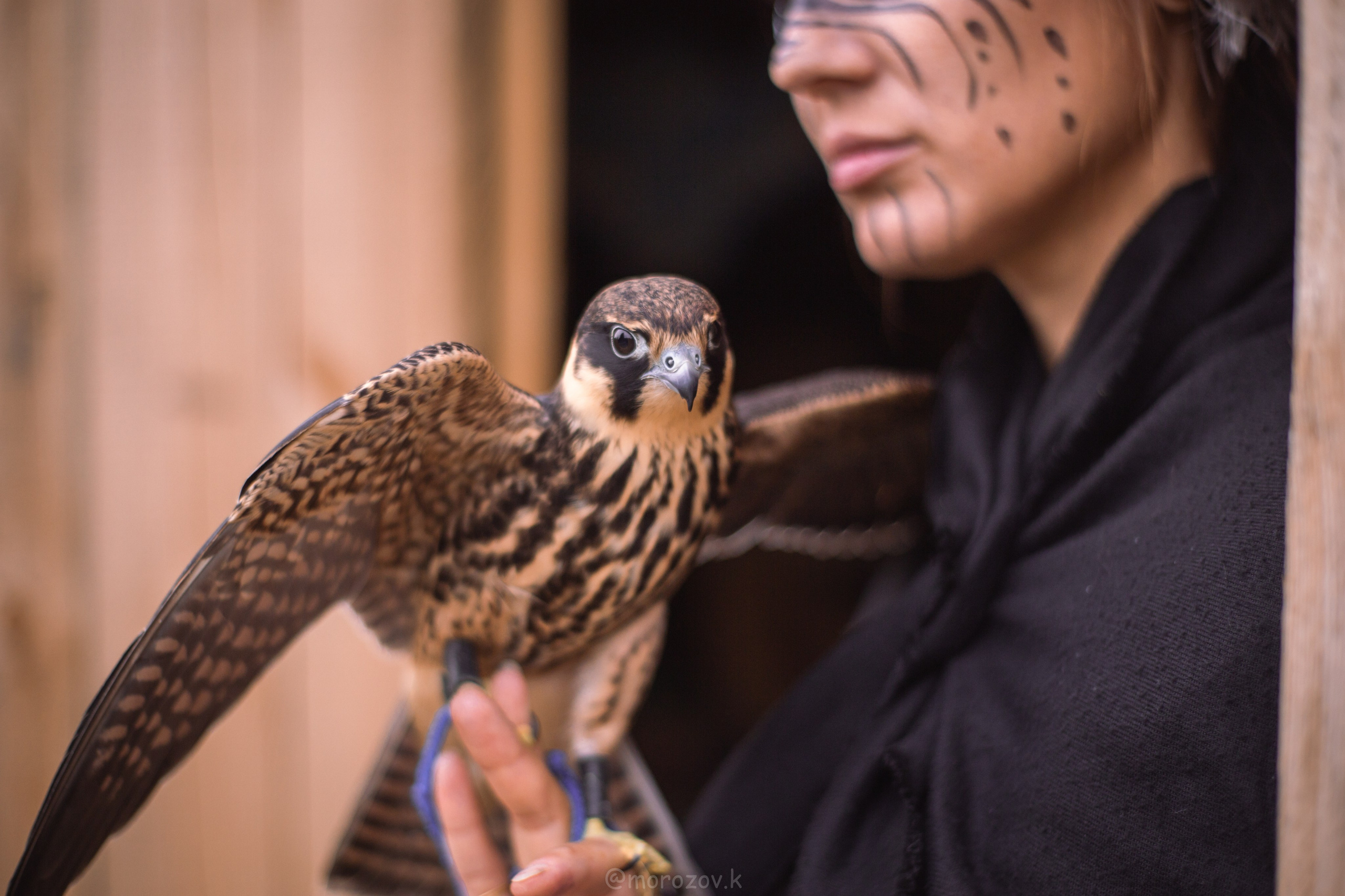 Еда, маркетплейсы, предметные и контент снимки. Репортажный фотограф в Калининграде Морозов Кирилл