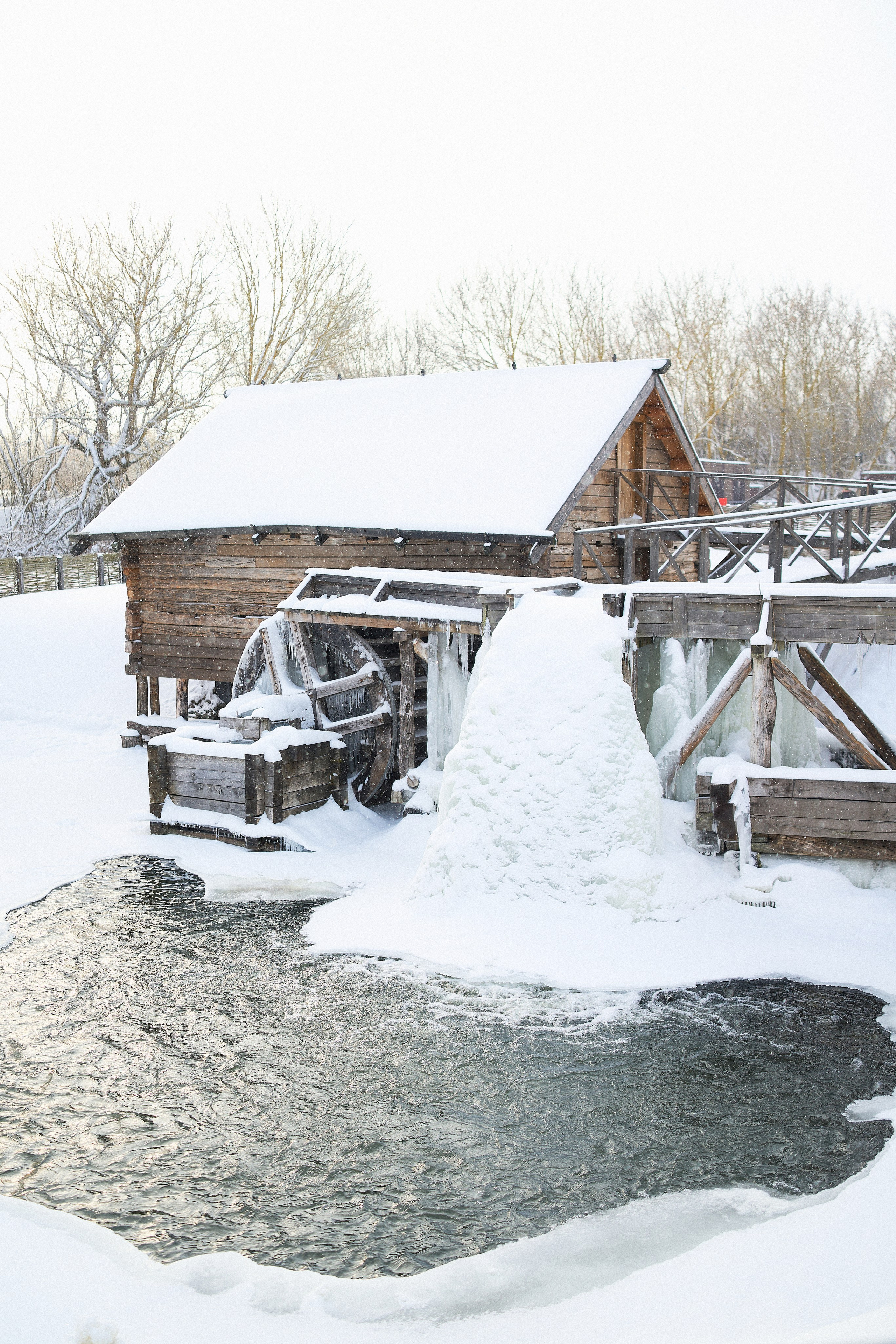 Волшебство зимнего дня. Портретный, семейный и свадебный фотограф в Курске Роман Сазонов