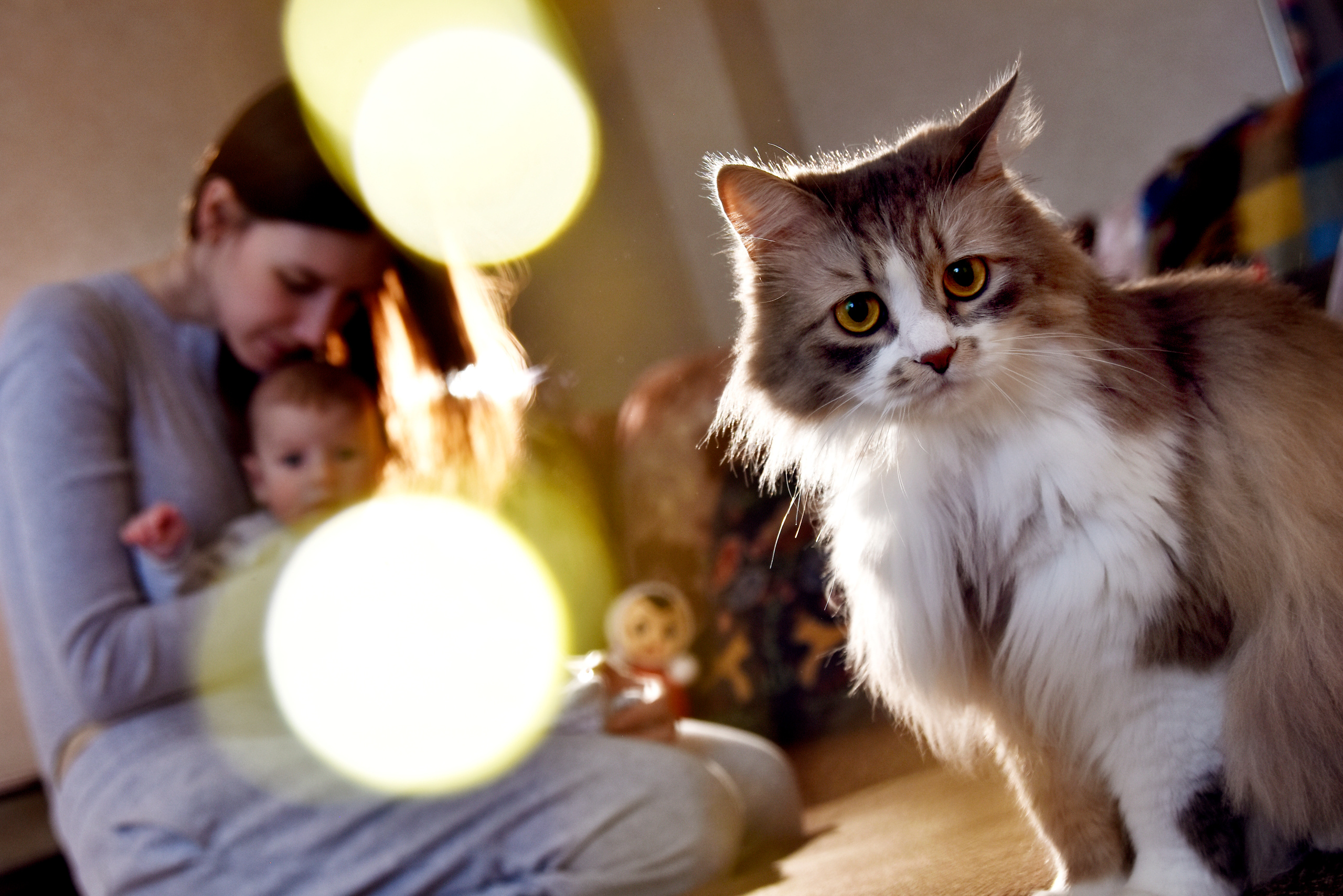 Семейный фотограф в Самаре Мария Компаниец