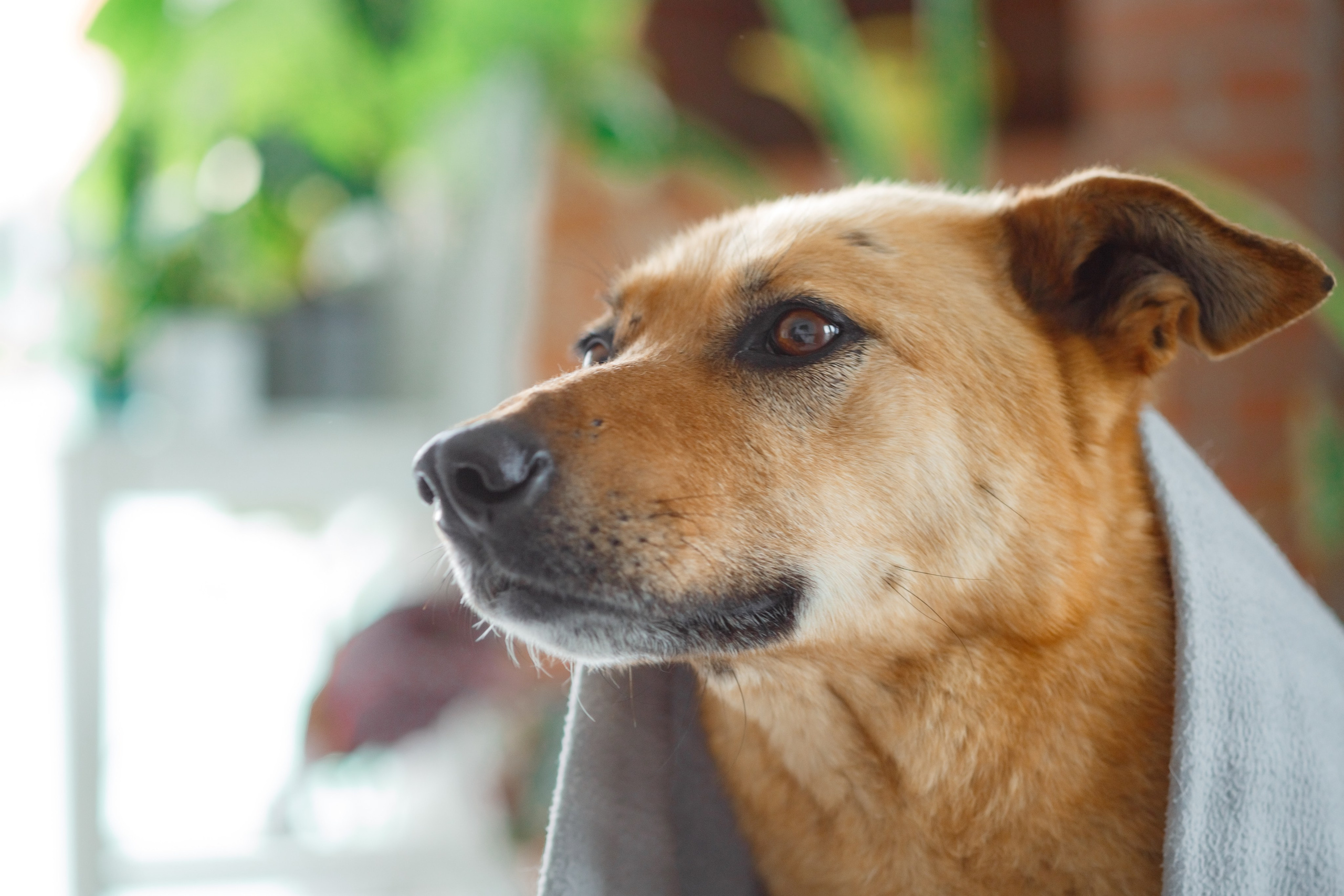 Джесси. Семейный фотограф в Екатеринбурге
