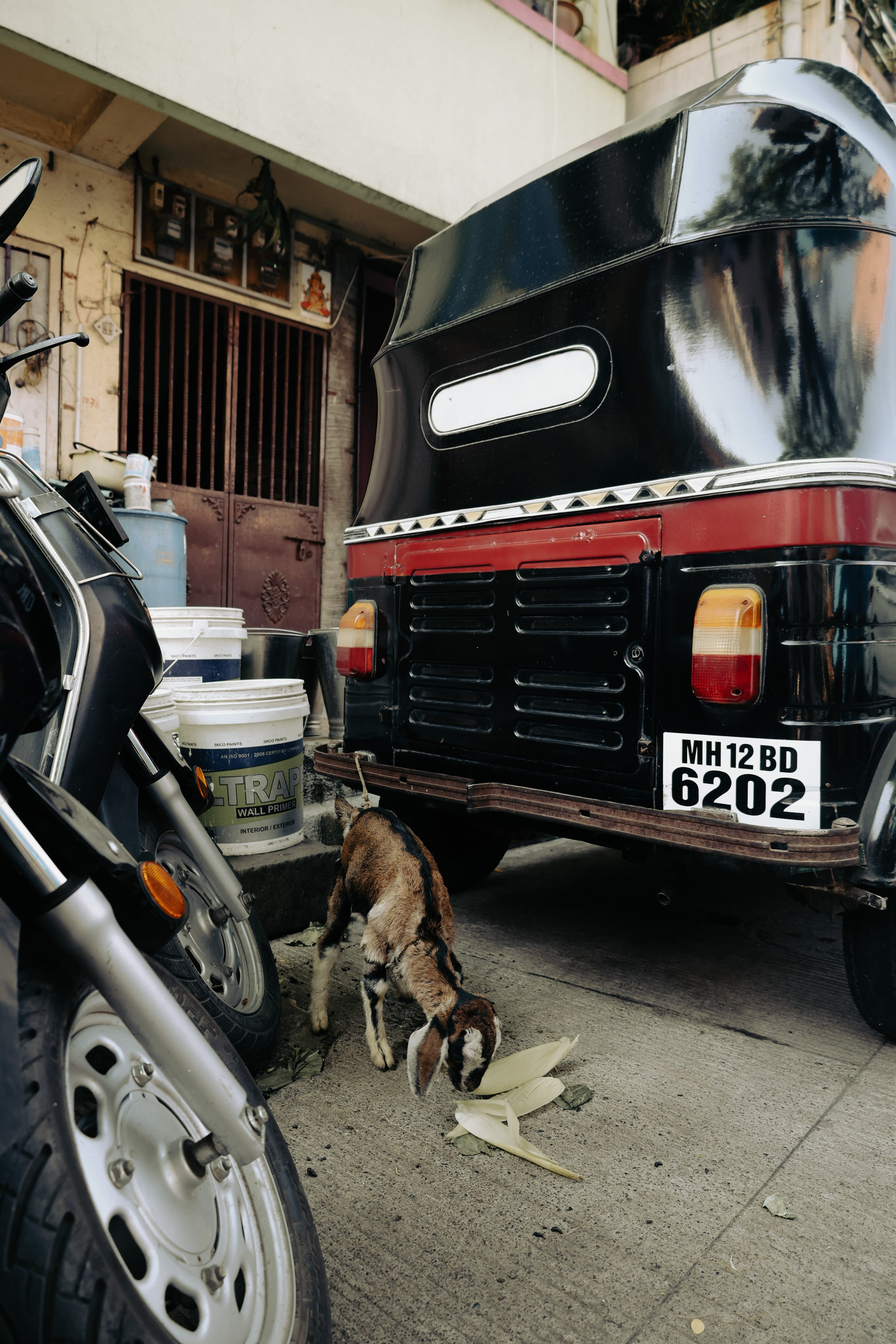 India. Фотограф в Москве