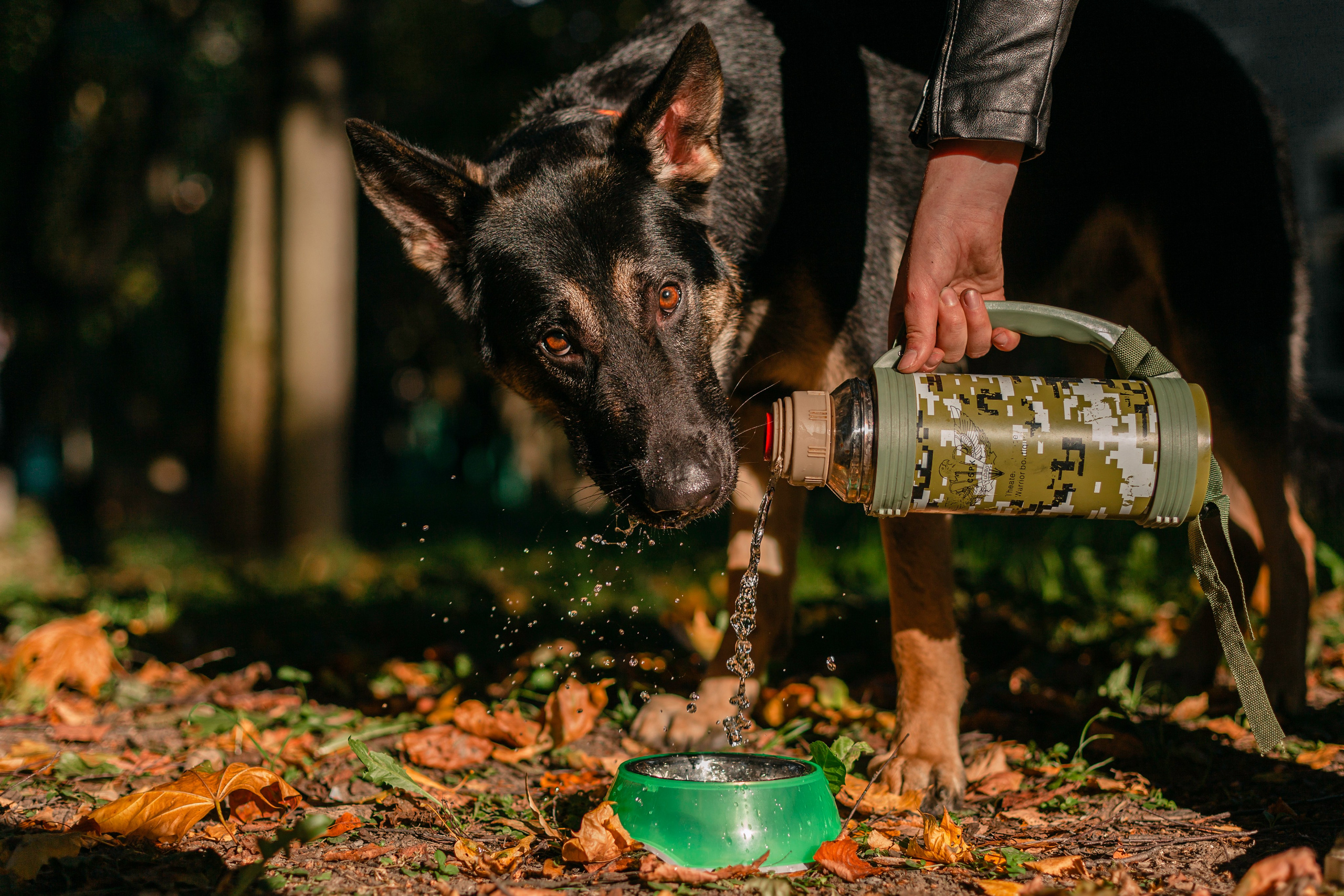 Илай. Фотограф-анималист Татьяна Степанова